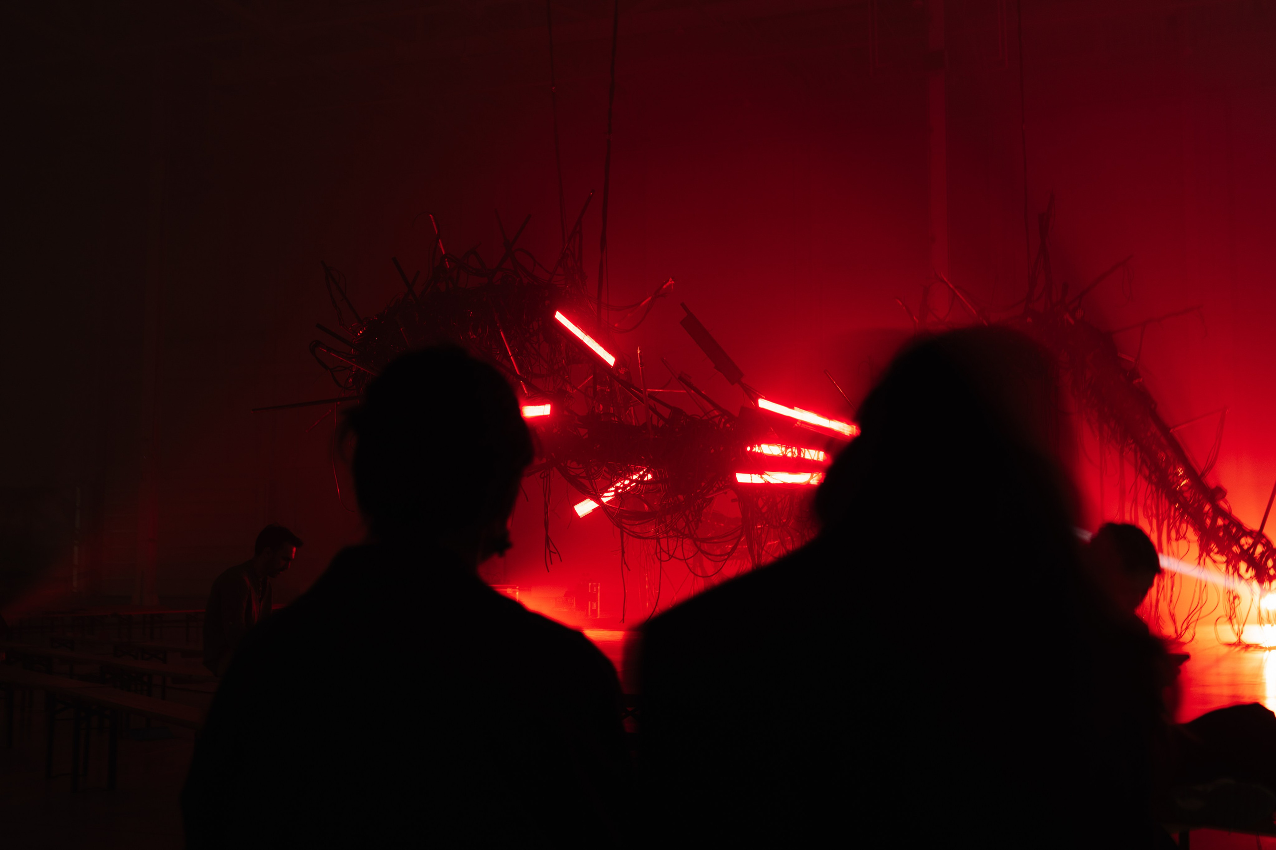 PERFORMA, The Hour of the Horse. @tomrus: Рустам Шагиморданов — фотограф