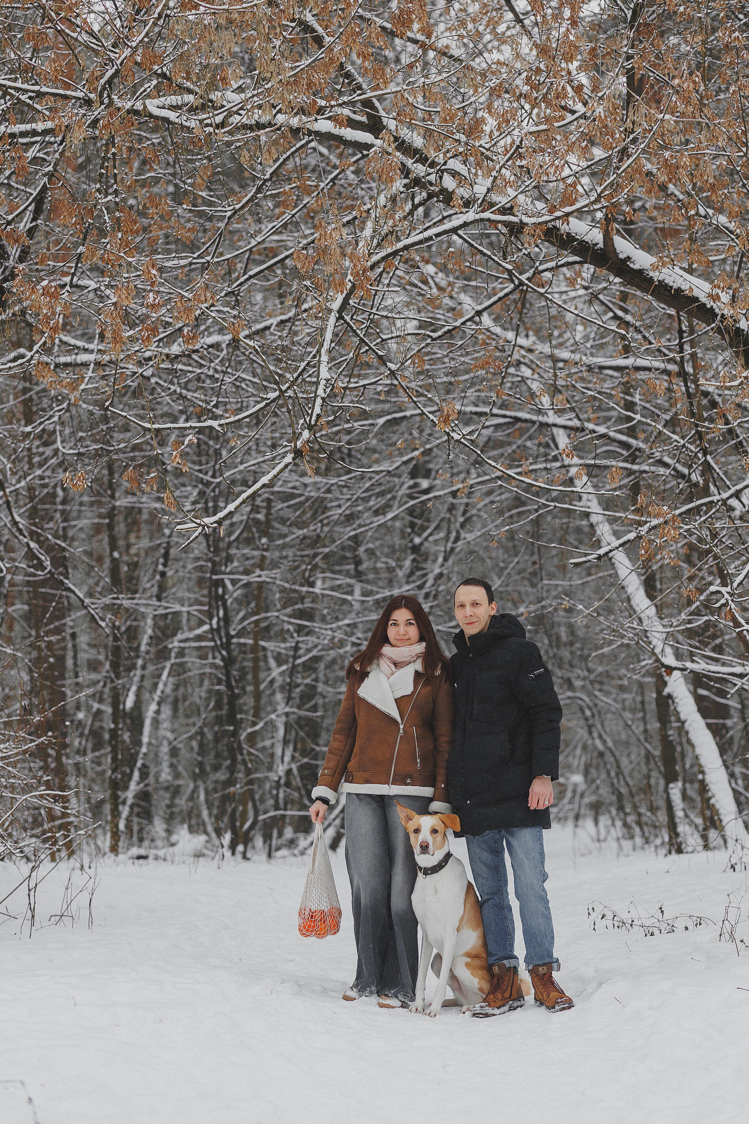 Зимняя фотосессия в лесу с собакой. Фотограф в Москве и Люберцах Анна Ушакова