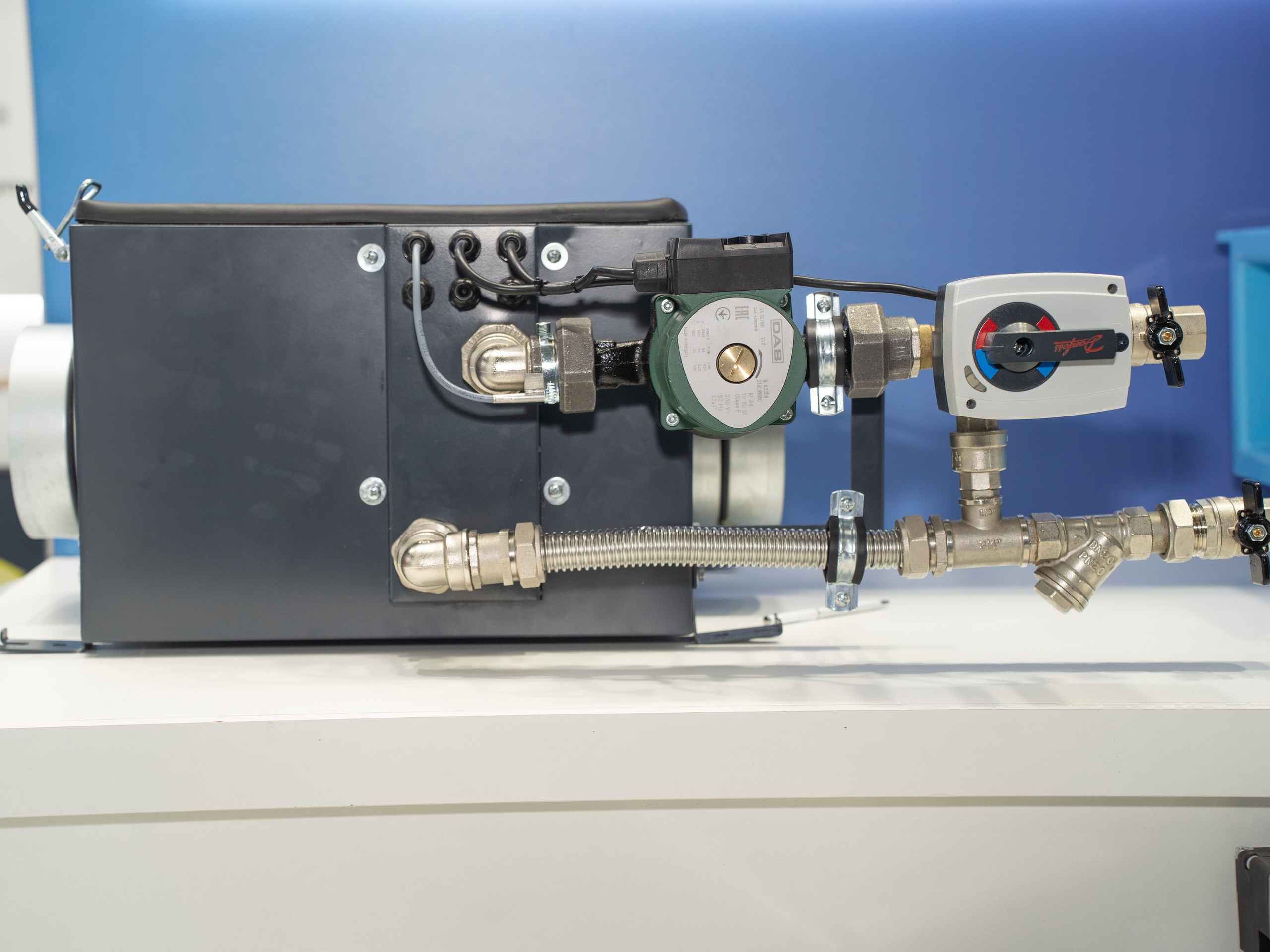 Крокус Вентиляция. Фотограф Зинаида Евдокимова