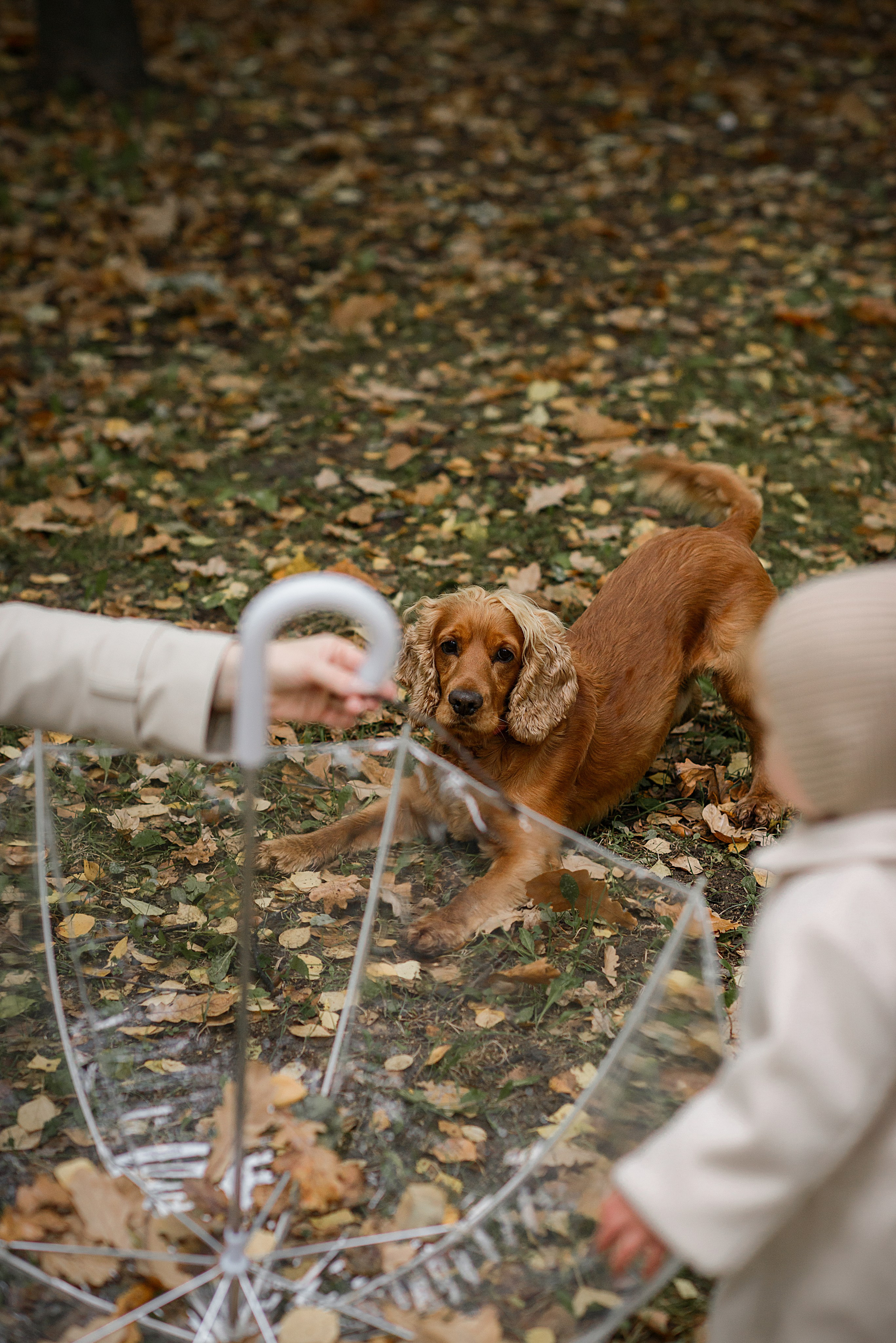 Юля и Дарина. Фотограф в Санкт-Петербурге Катя Прудникова