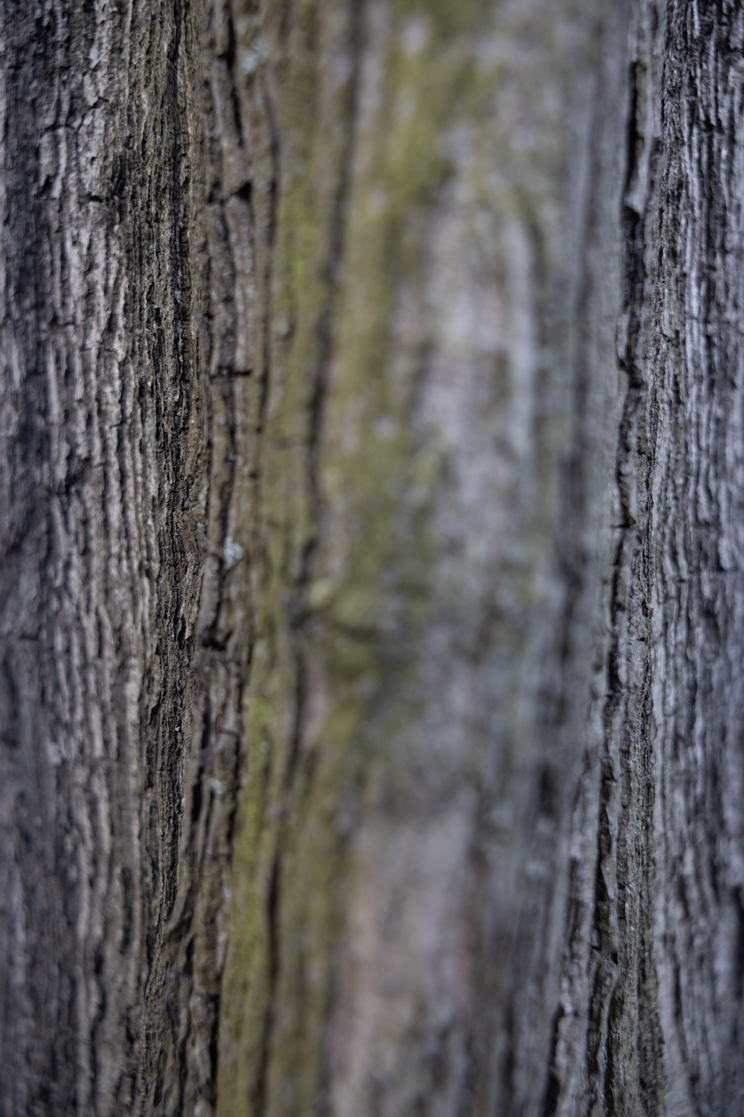 Art prints. Фотограф алина стерхова, алина стерхова фотограф, фотограф москва