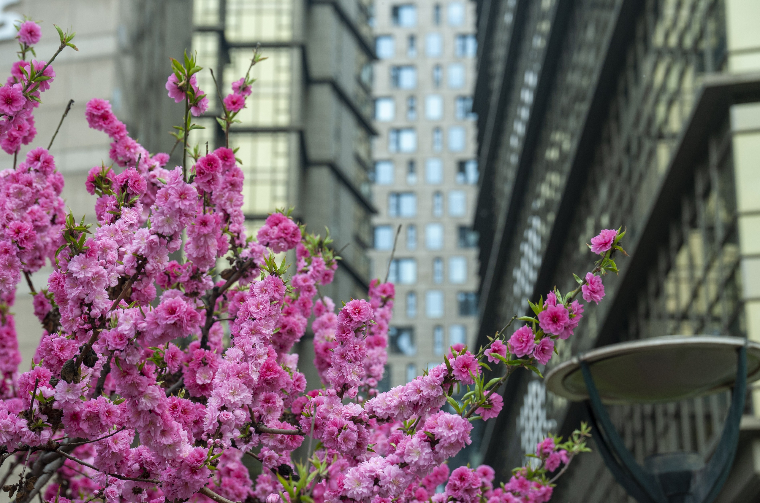 Весна. FotoGraf