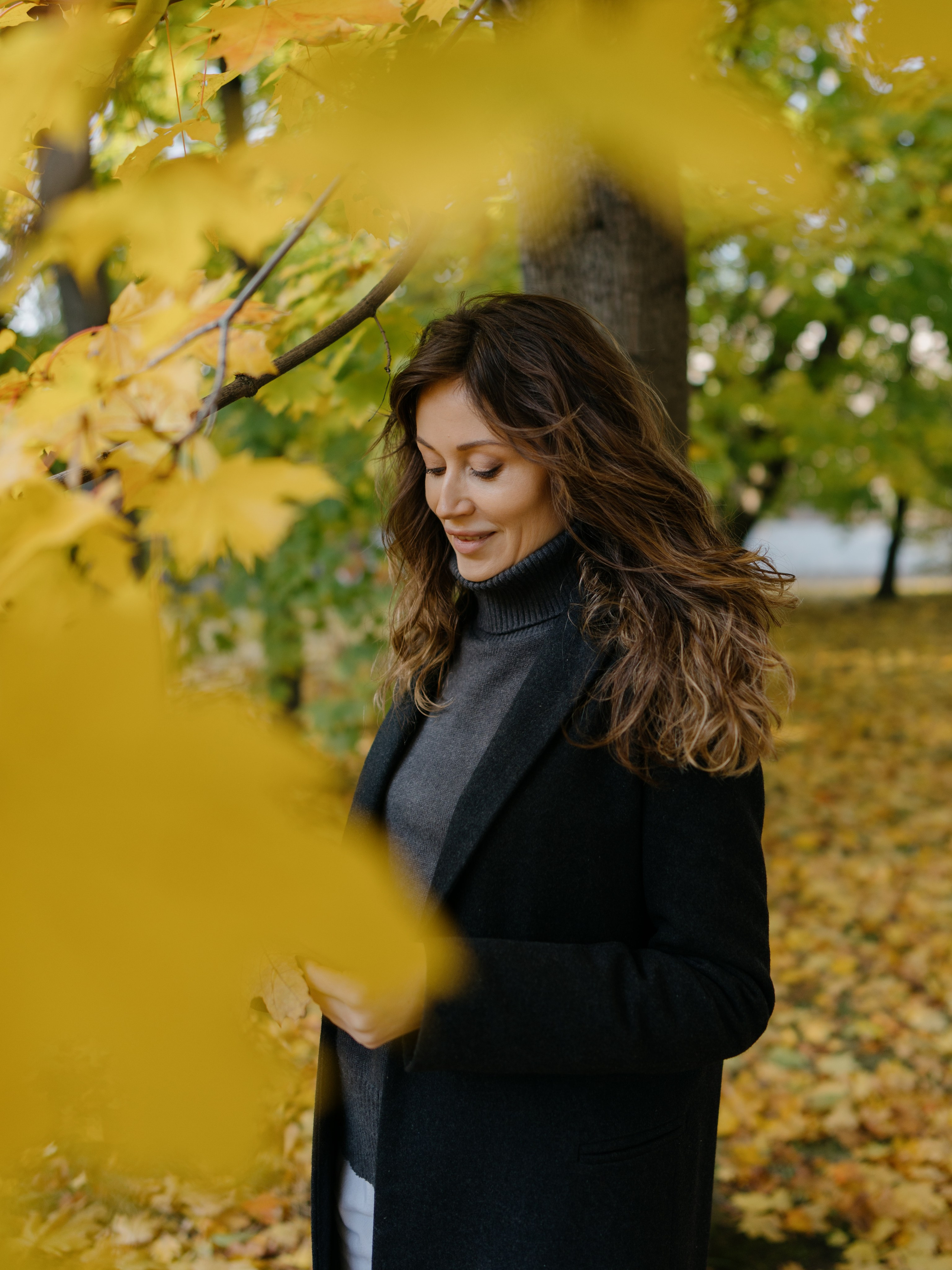 Желтые листья на фото