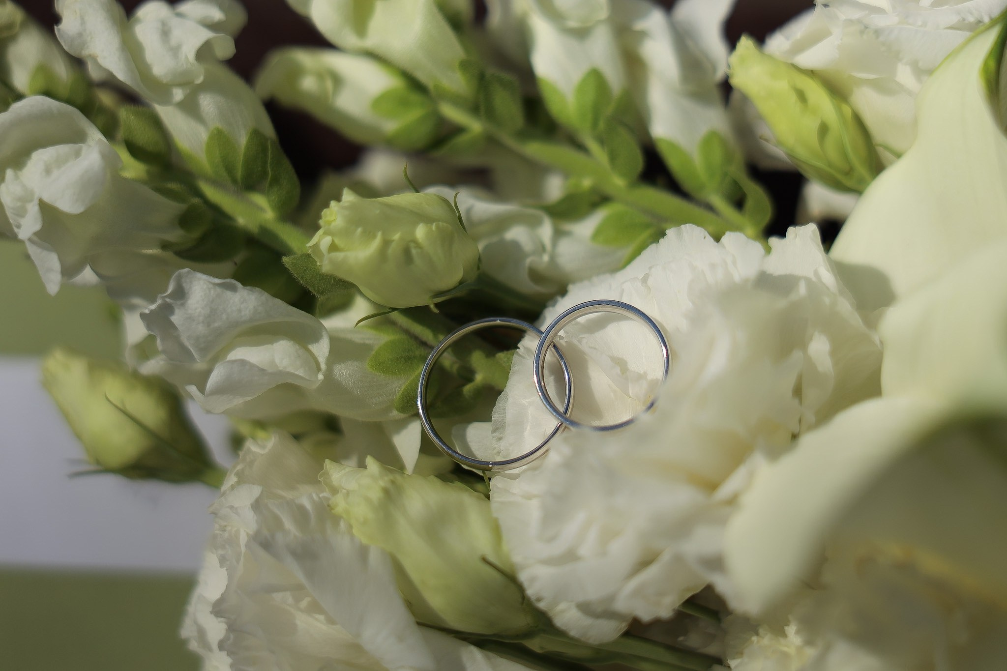 Александр и Галина | Ранчо wed. Свадебный фотограф Москва