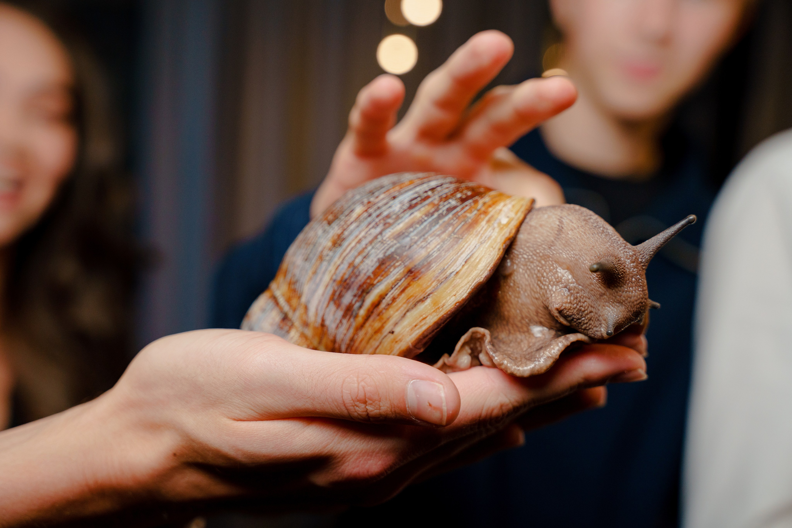 Репортажный фотограф на день рождения в Москве. Репортажный фотограф Москва Сергей Дружинин