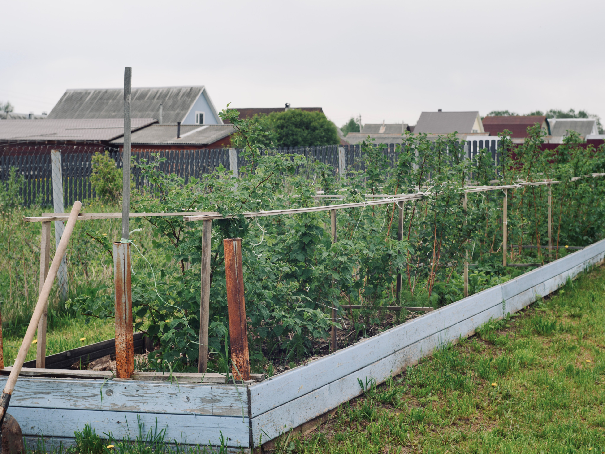 Пространство в цвете. Событийный фотограф в Москве Юлия Папиянц