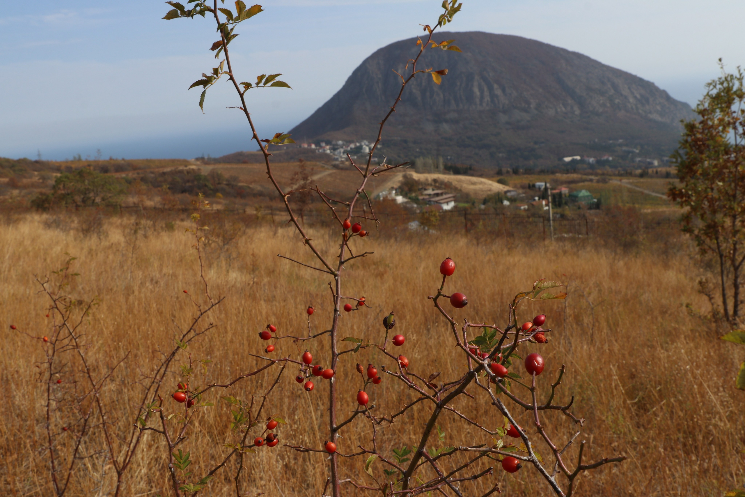 Крым. ЮБК (Гурзуф, Судак и их окрестности). Ноябрь 2023. Путешественник-фотограф из Санкт-Петербурга Татьяна Свистулина