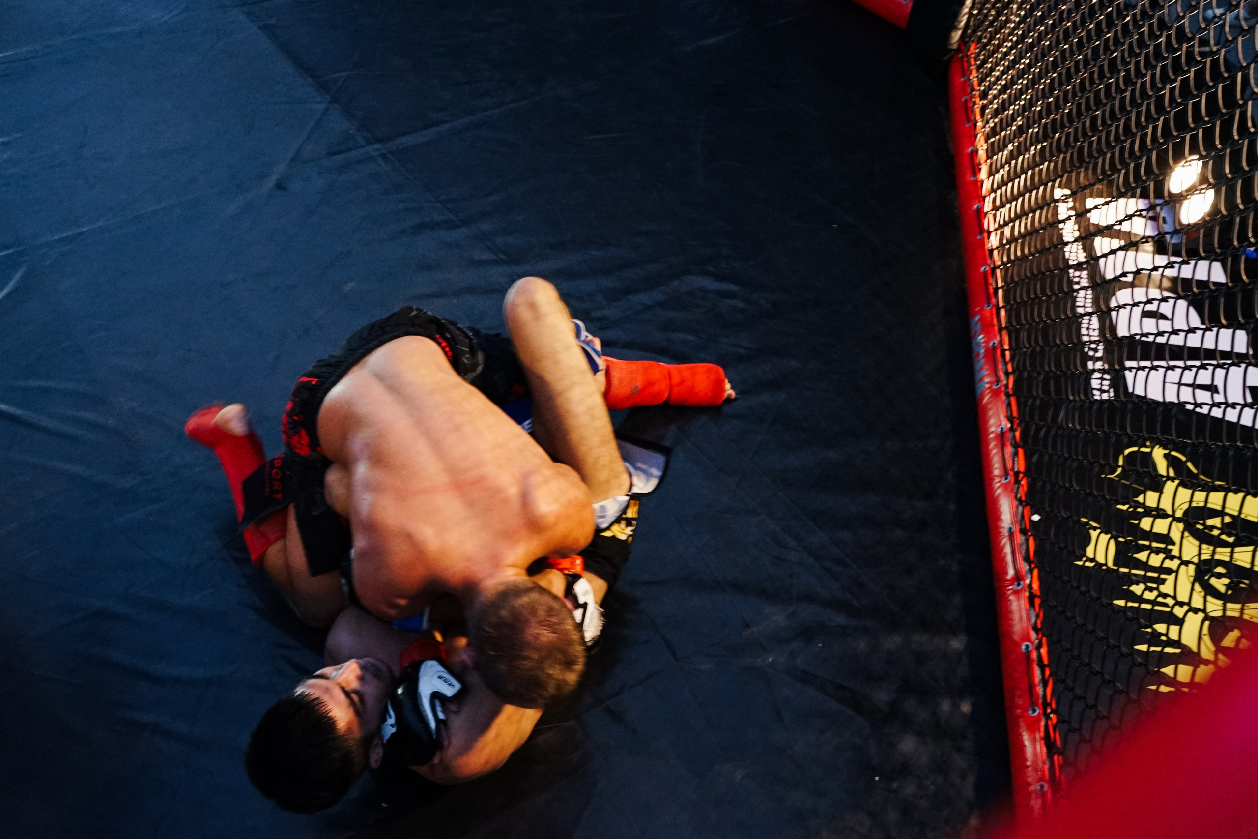 Вечер боев в ЦПКиО. Фотограф Надежда Погребняк | Рязань | Москва