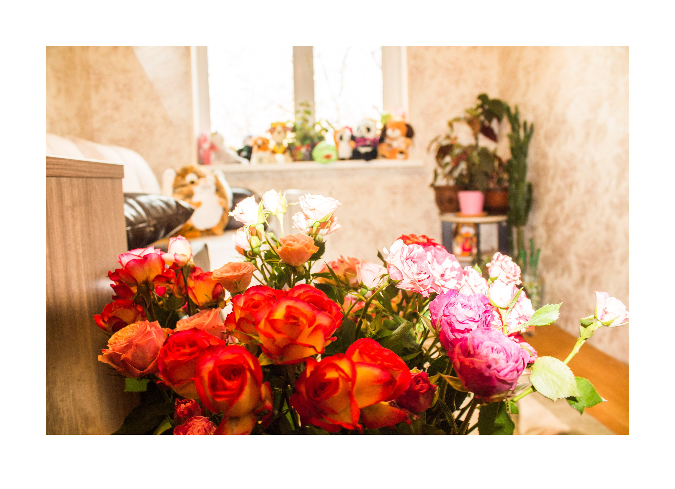 Мои первые работы. Фотограф из Москвы — DASHA NOVA | Авторская фотография в разных жанрах