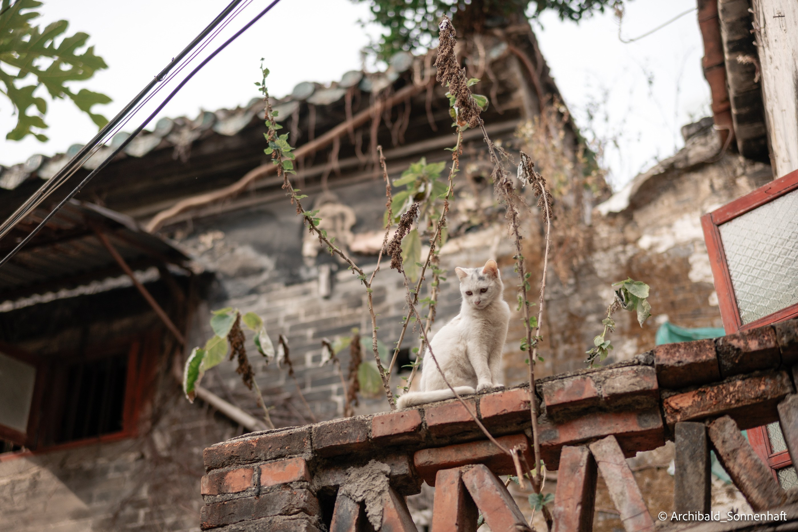 Yuexiu district in Guangzhou. Photographer in Guangzhou, China. Archibald Sonnenhaft