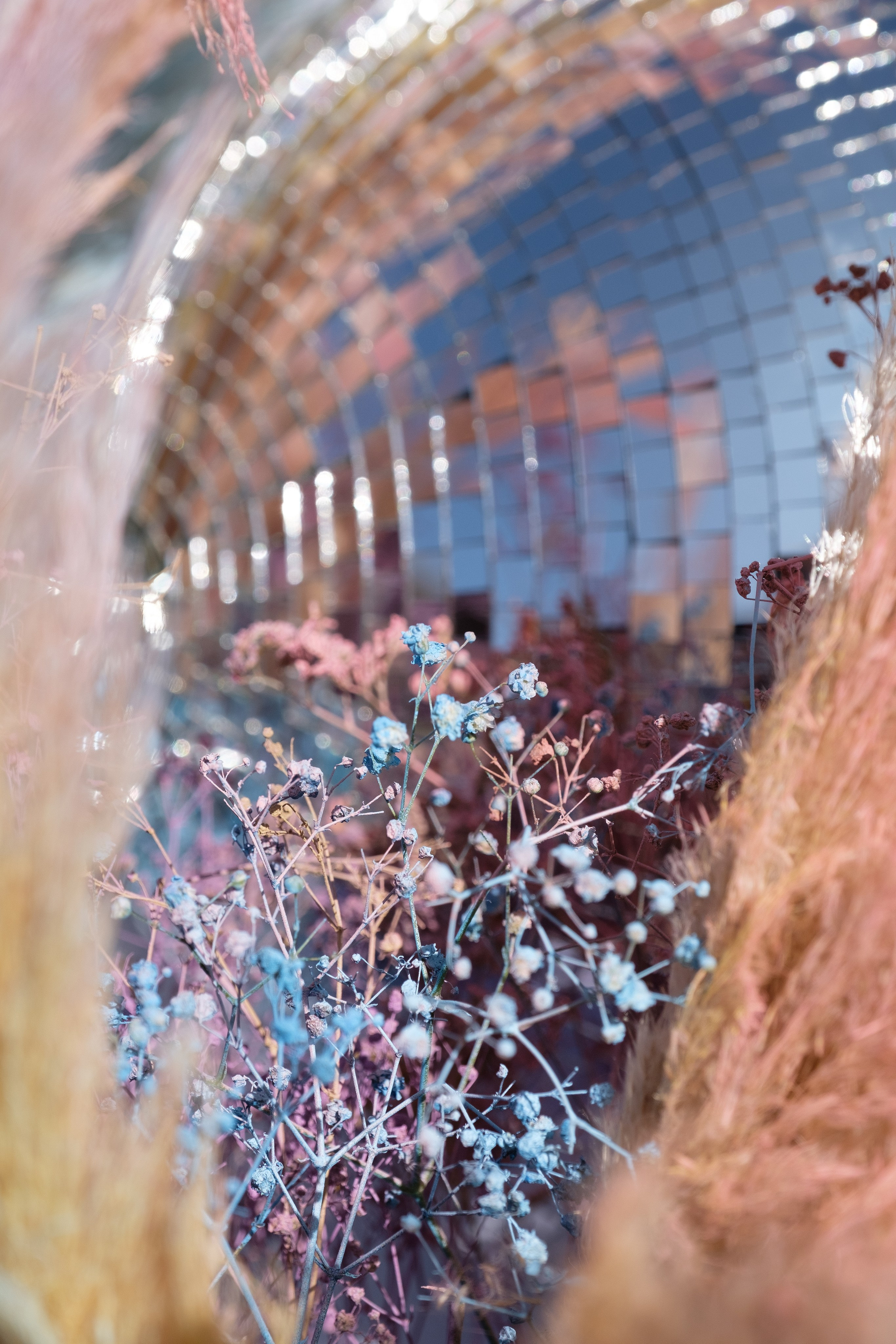 Фестиваль чувств. Свадебный Видеограф Фотограф в Сочи