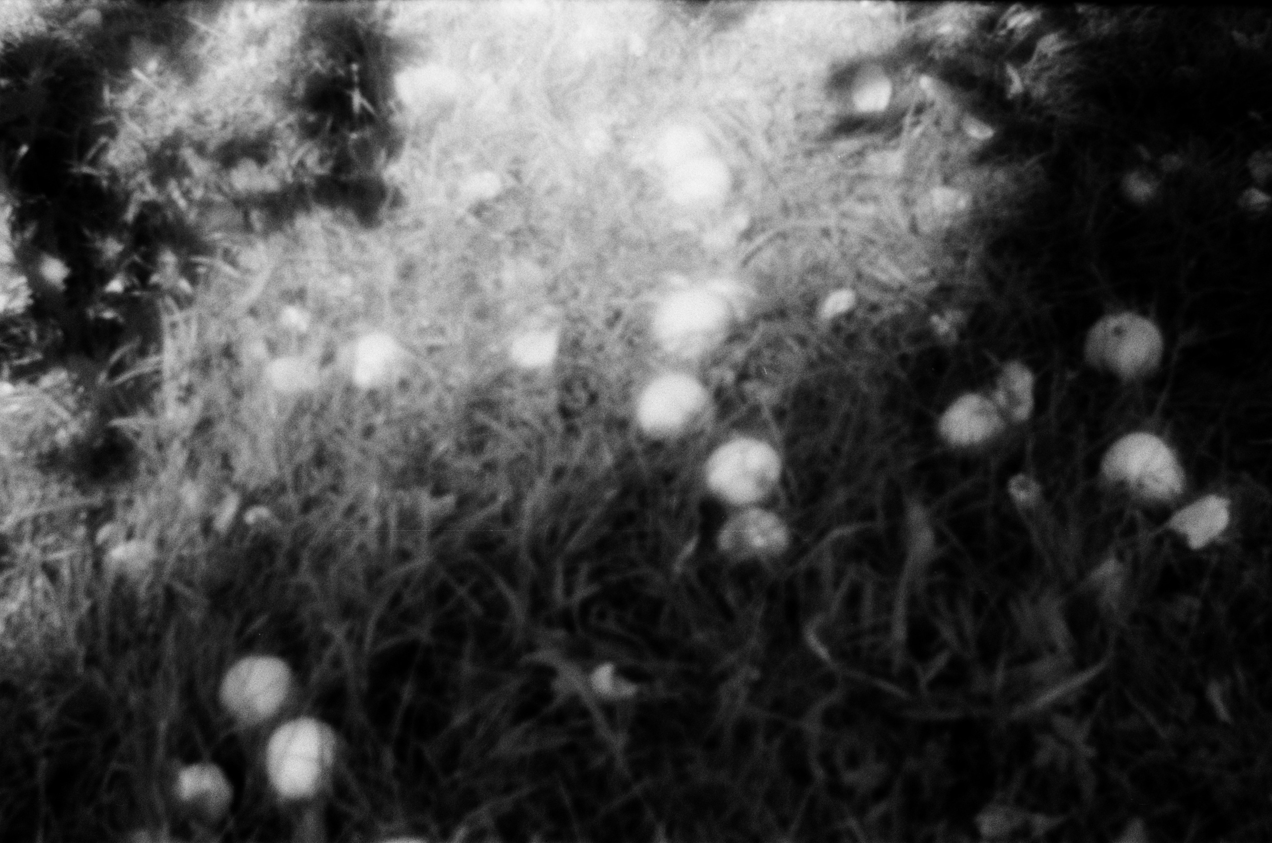 Юля Андрейченко «Отец Сергий». Private image