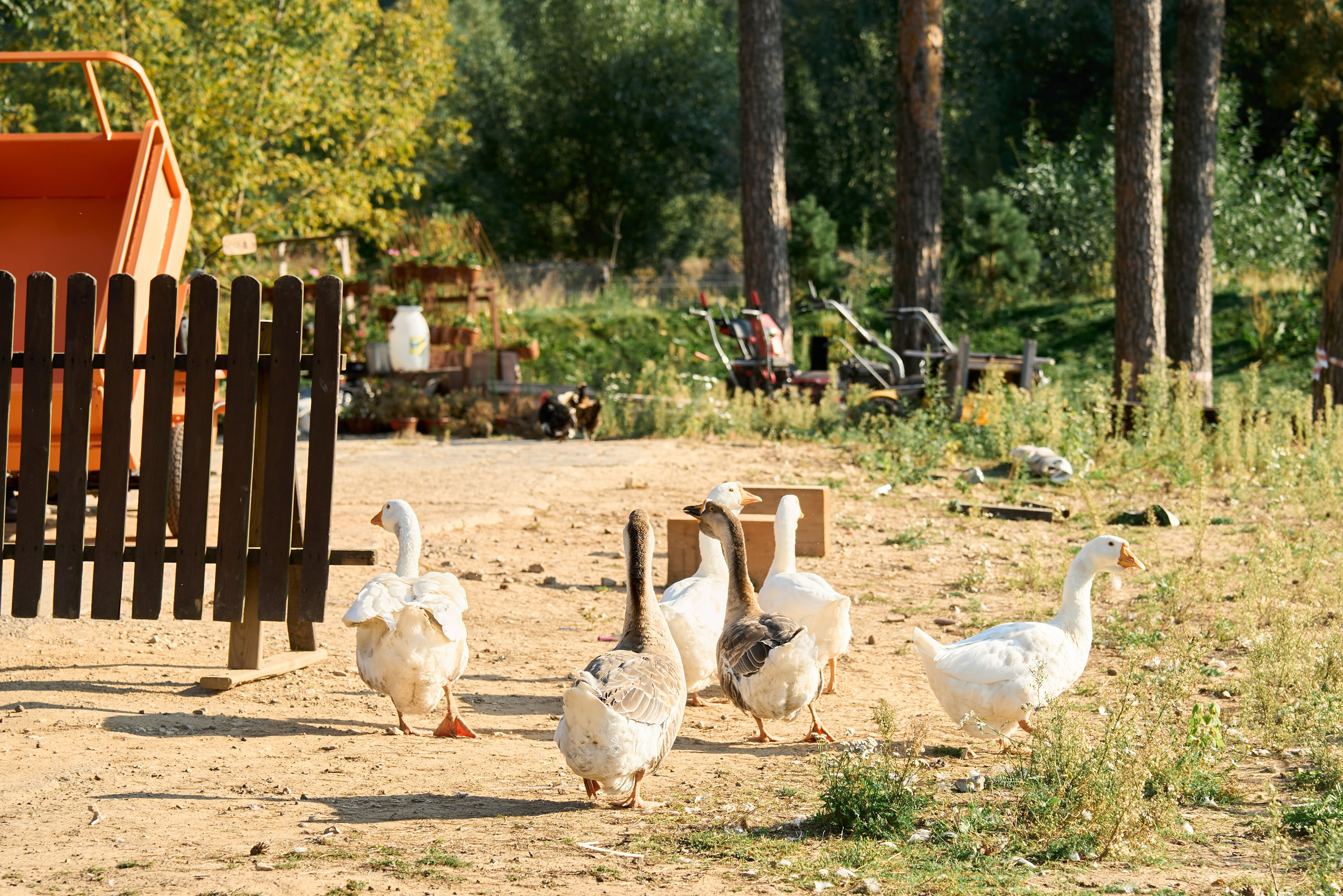 День Рождения Кати. Елизавета Мальгина, фотограф в Москве