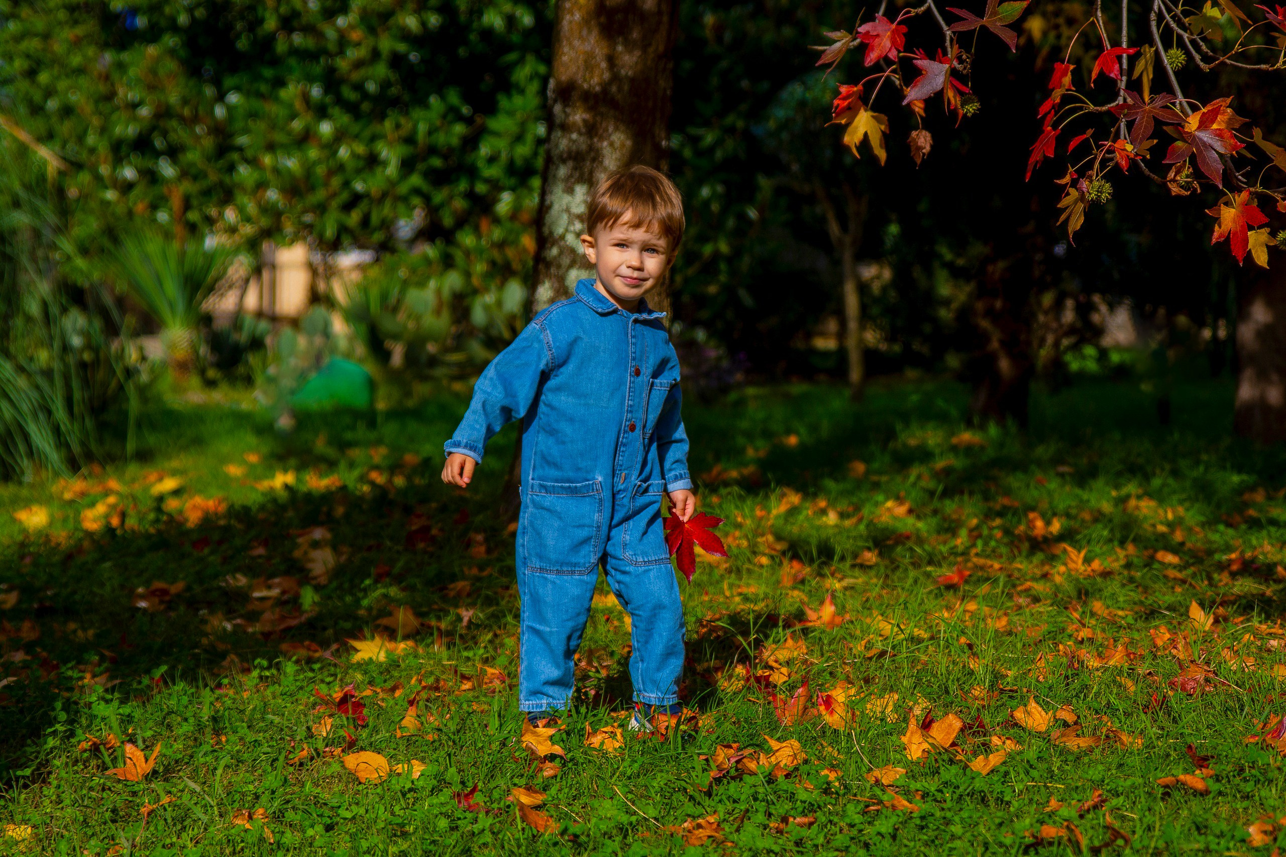 Фотосъемка детей. Фотограф видеограф Геннадий Янбаев в Сочи, Краснодаре