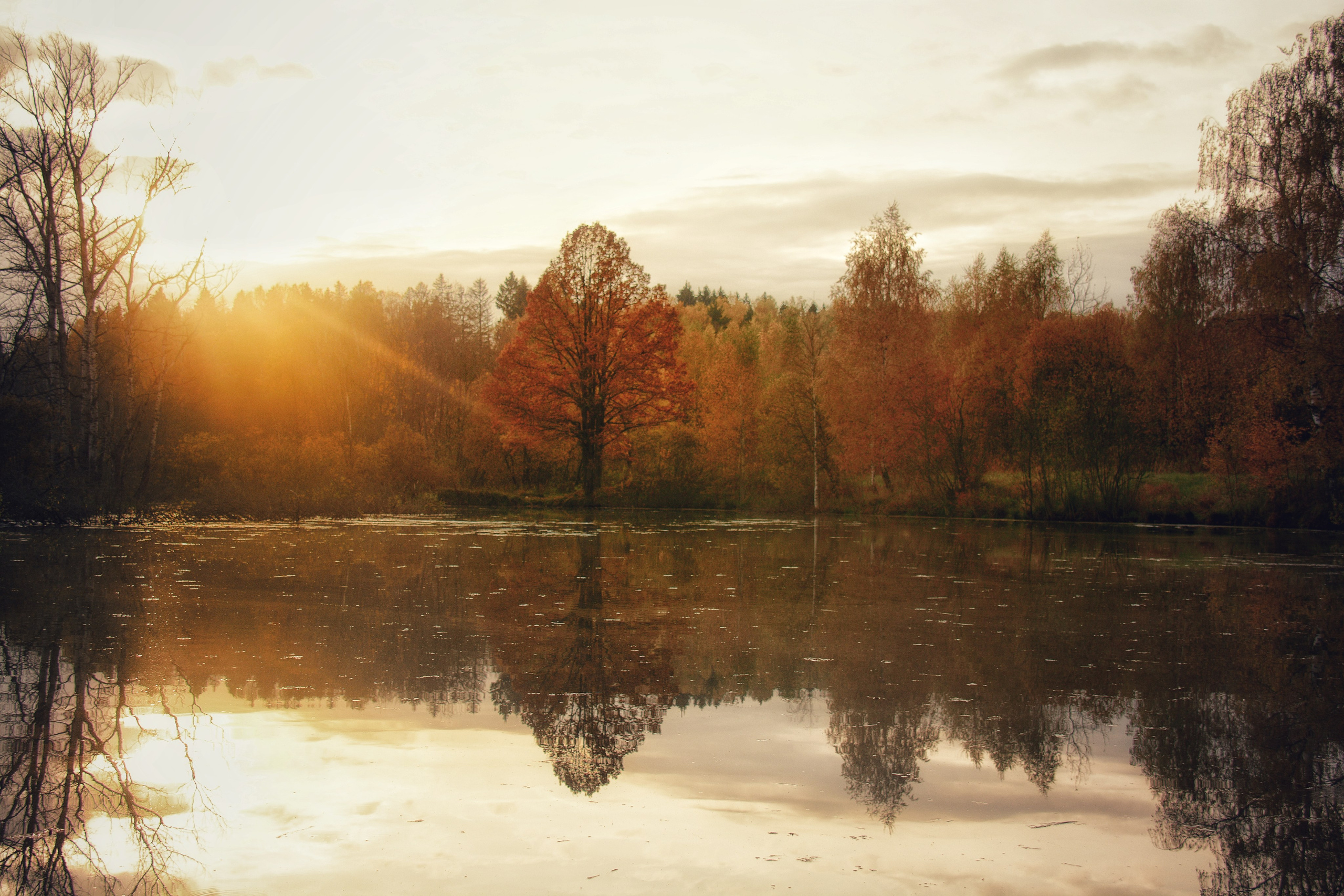 Фотограф Ваших событий 📸