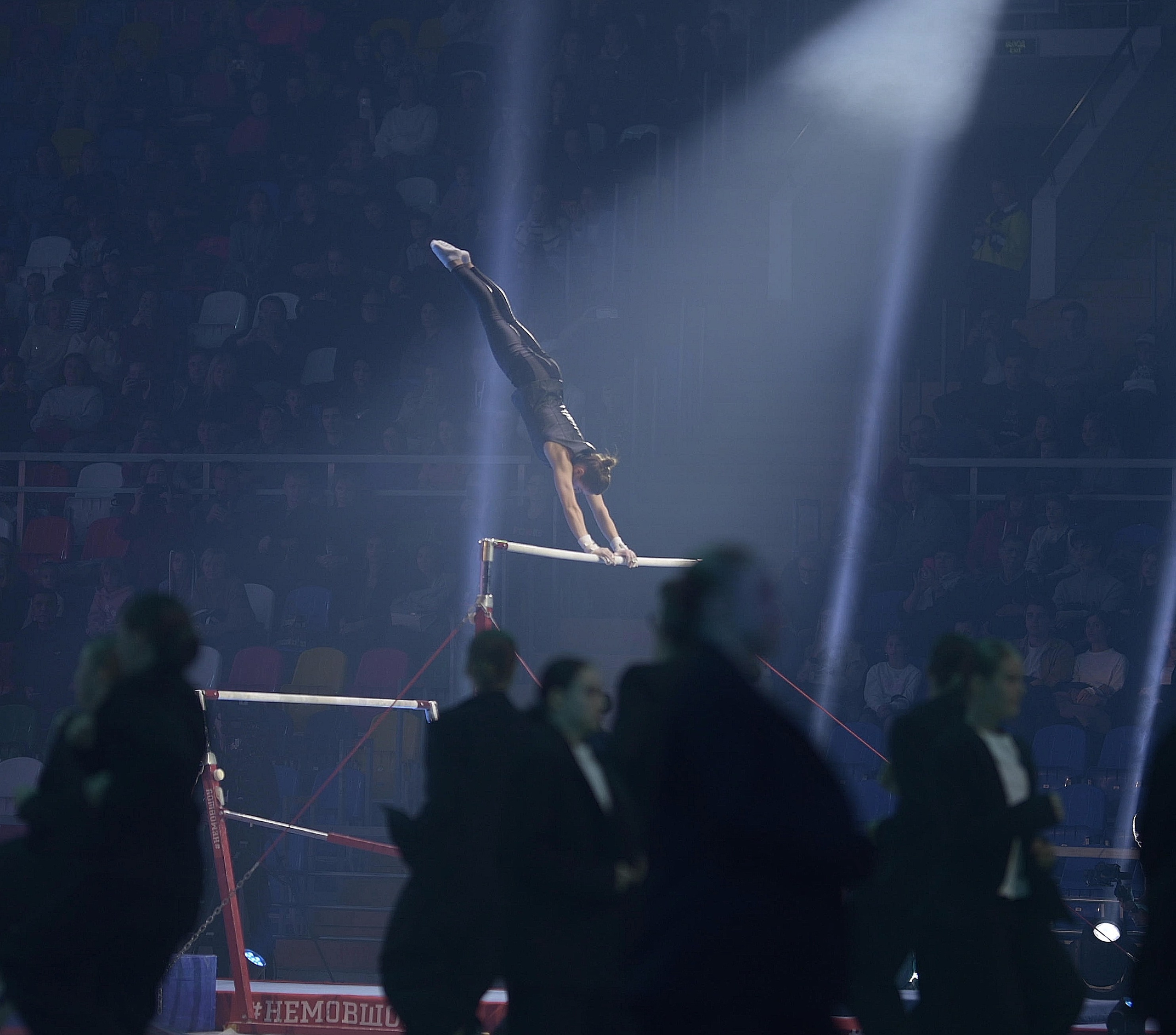 Шоу Алексея Немова 2024. Фотограф Ваших событий 📸