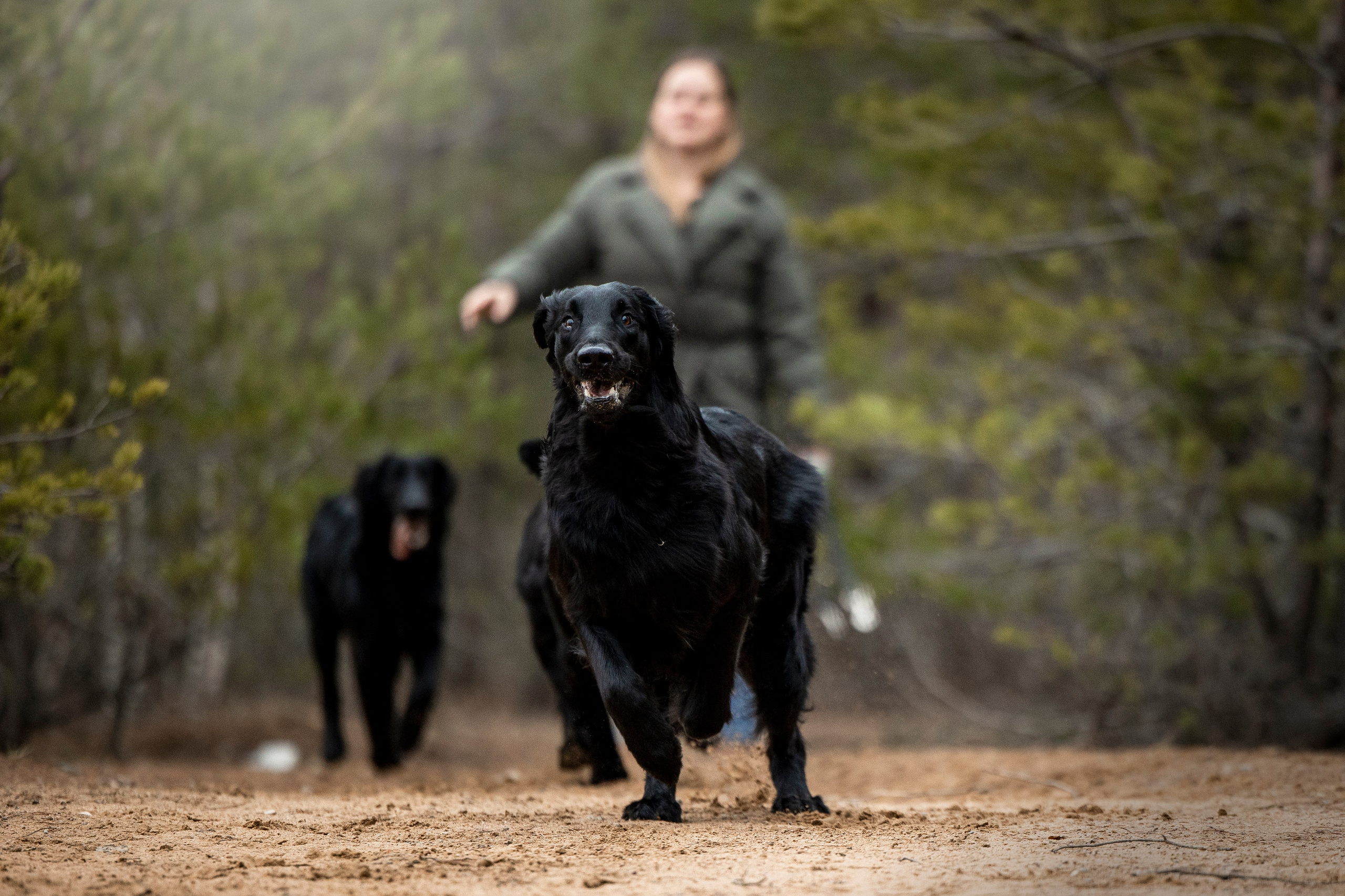 Ора, Ева, Рози и их семья. Фотограф — Анималист | Санкт-Петербург