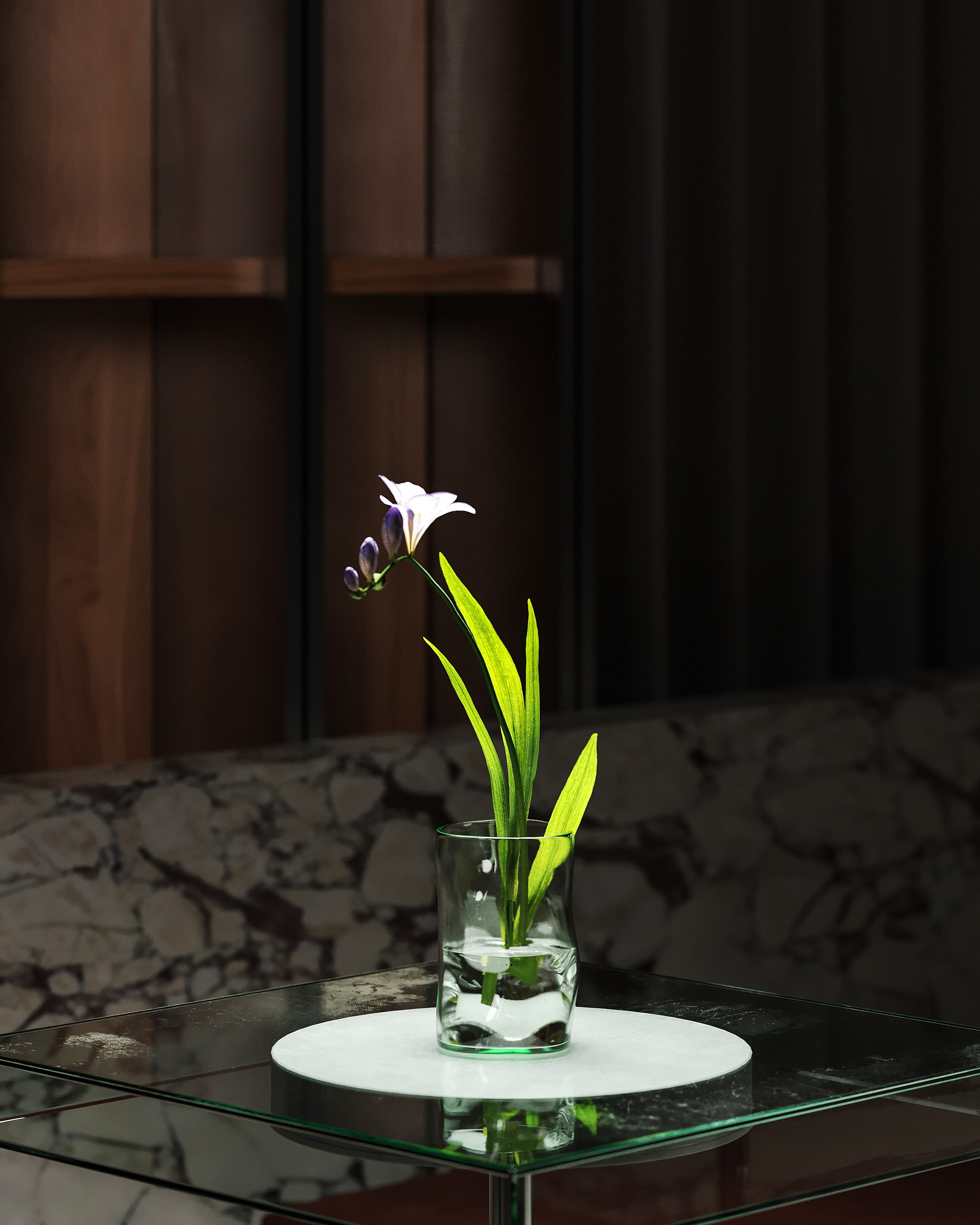 Master class project | 2025. 3D Визуализатор Великородная Виктория