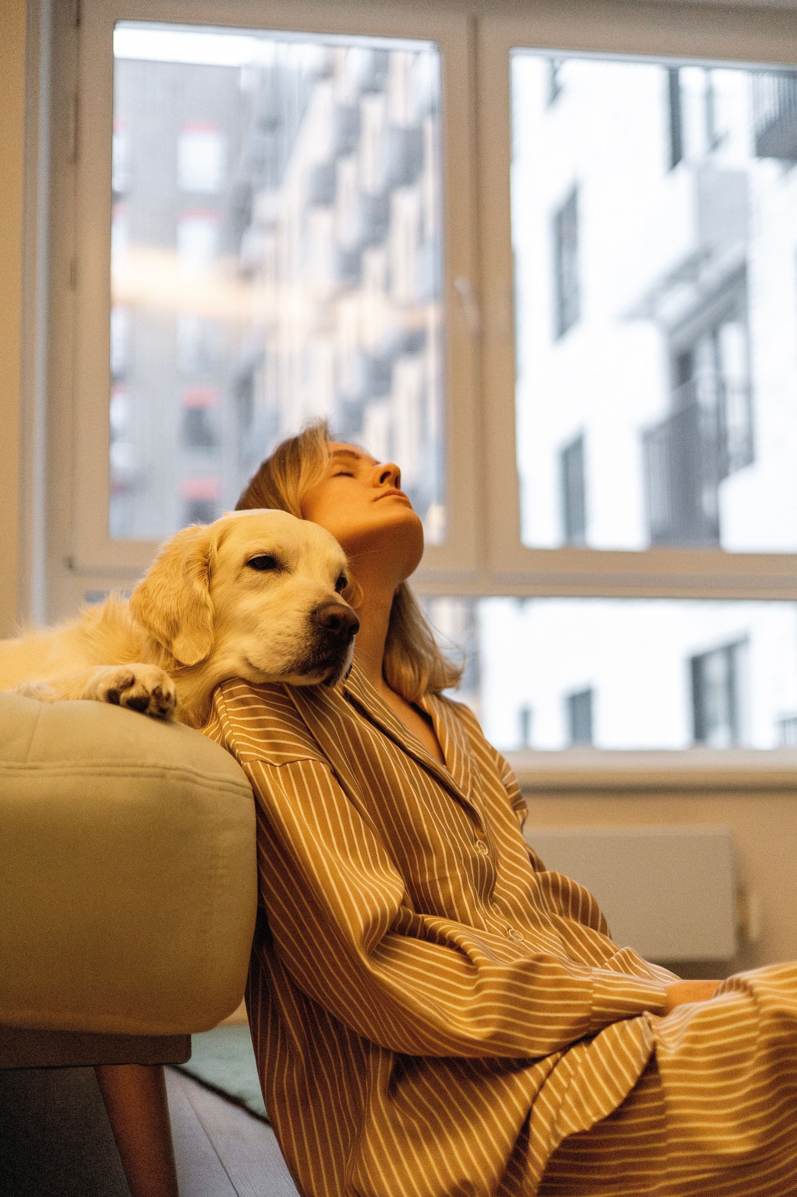 Зиз и Юля. Новогодняя. Фотограф-анималист Ксения Шевцова|Москва