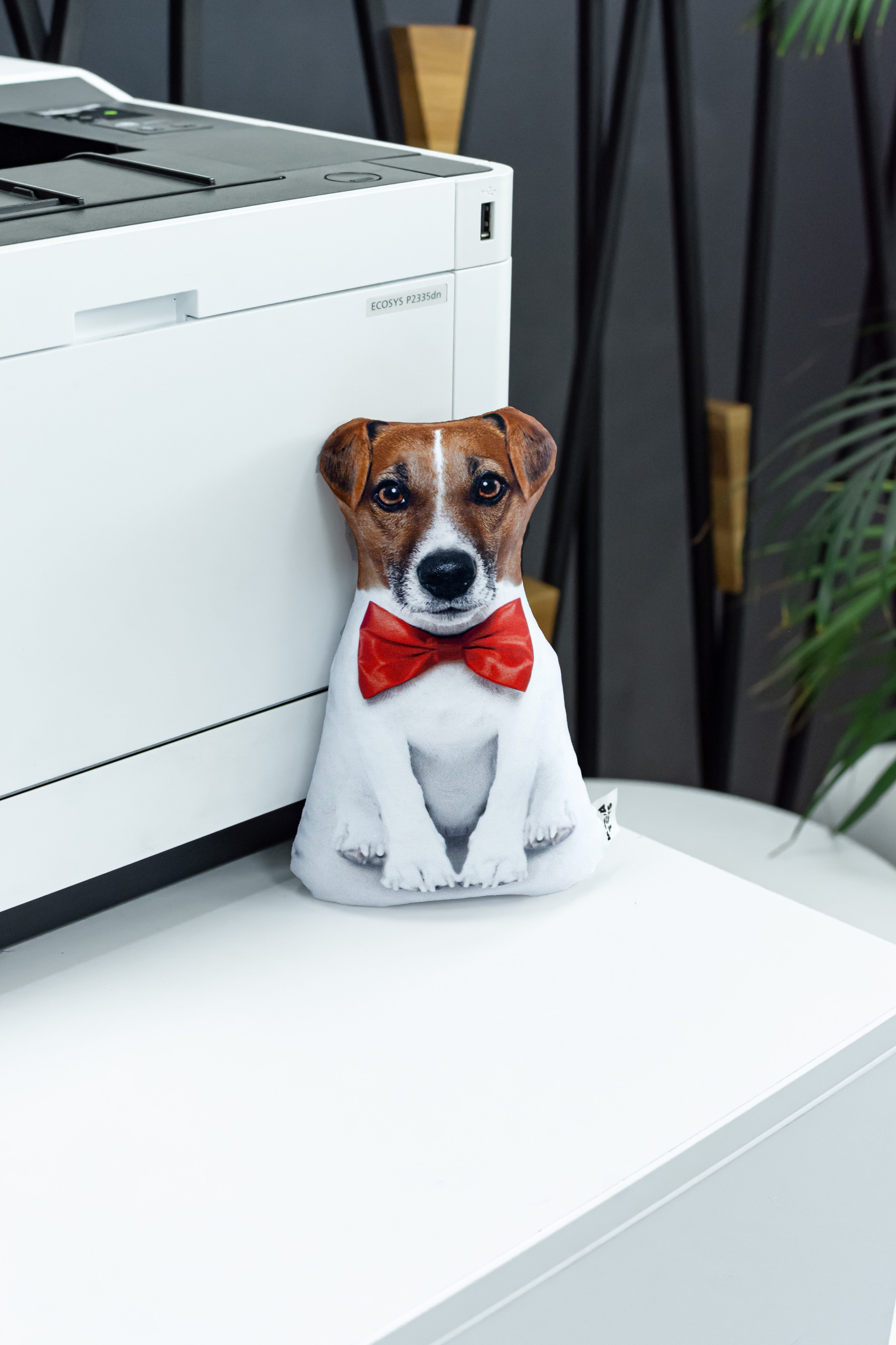 Антистрессы. Семейный и свадебный фотограф Галина Абакумова, фотосессии в Белгороде