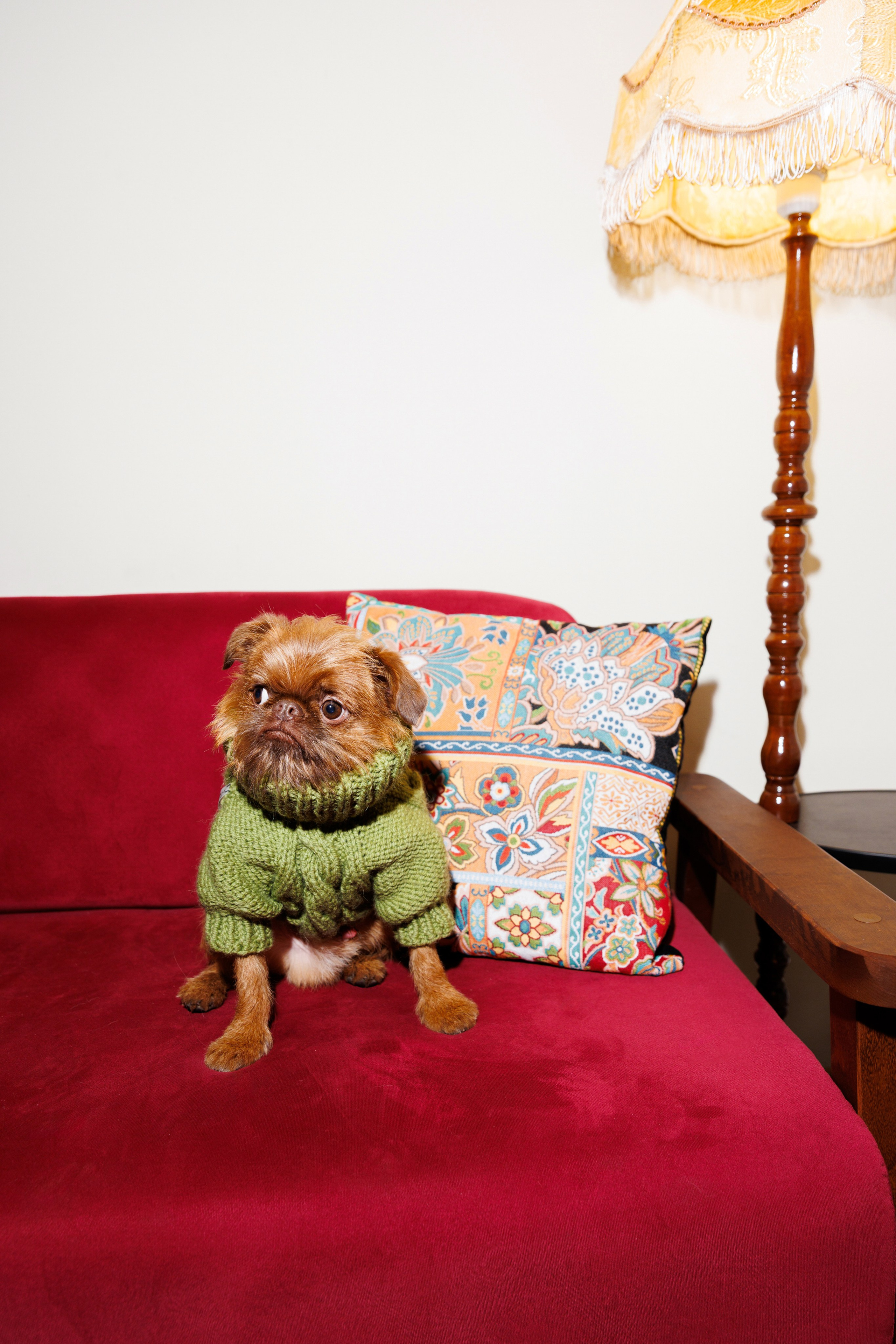 Светская хвостатая хроника. Аксана Лисовская фотограф в Москве. Фотографии с характером