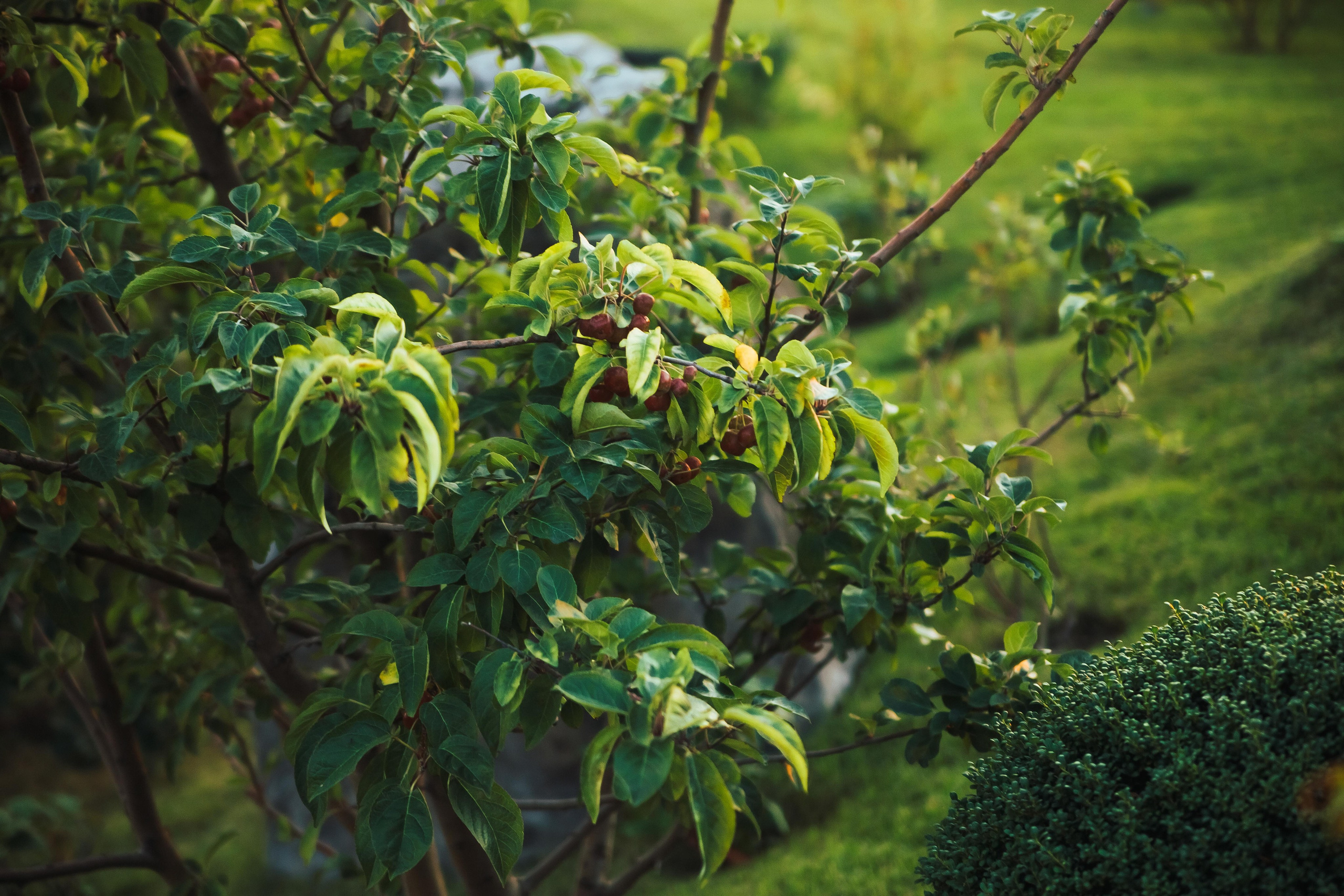 Прогулка в отеле. Семен Соколов