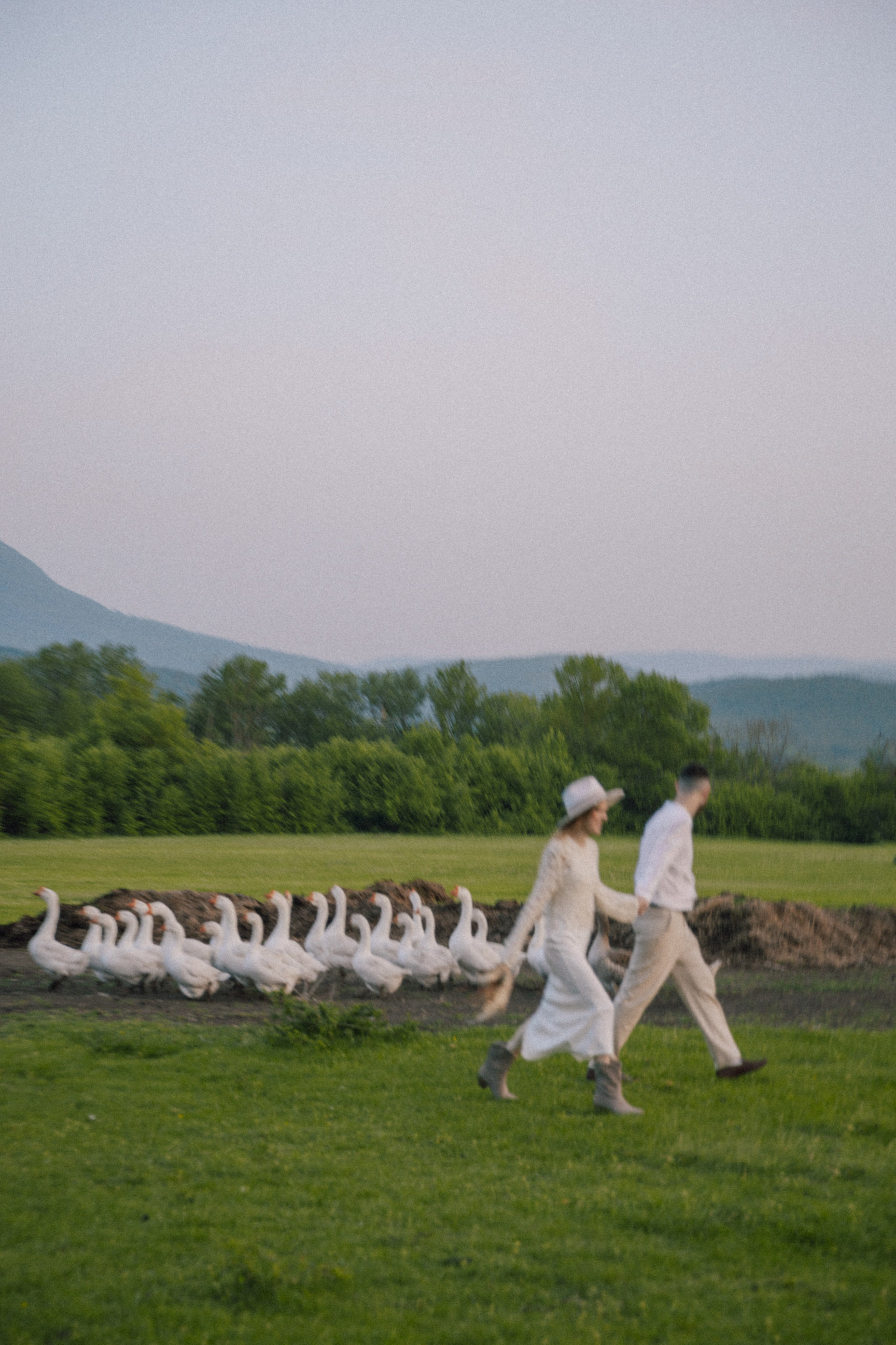 Владимировка. Фотограф Краснодар Юлия Бураченко Свадьбы Репортаж Семейные Индивидуальные съемки