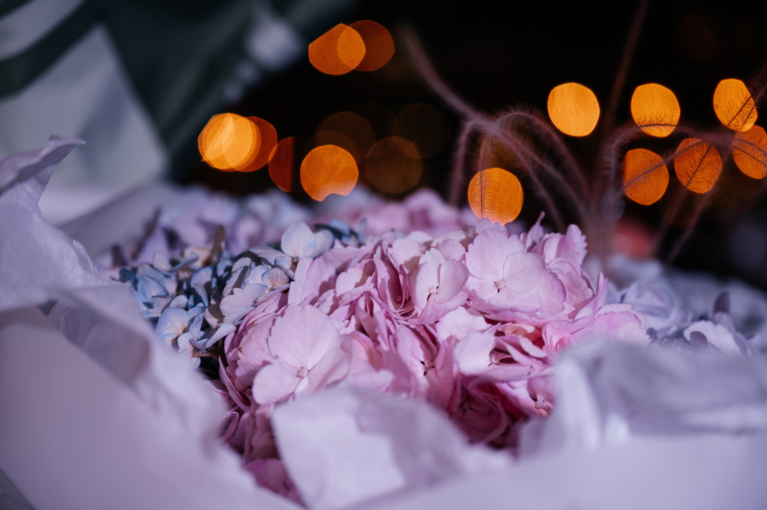 Марина и Александр