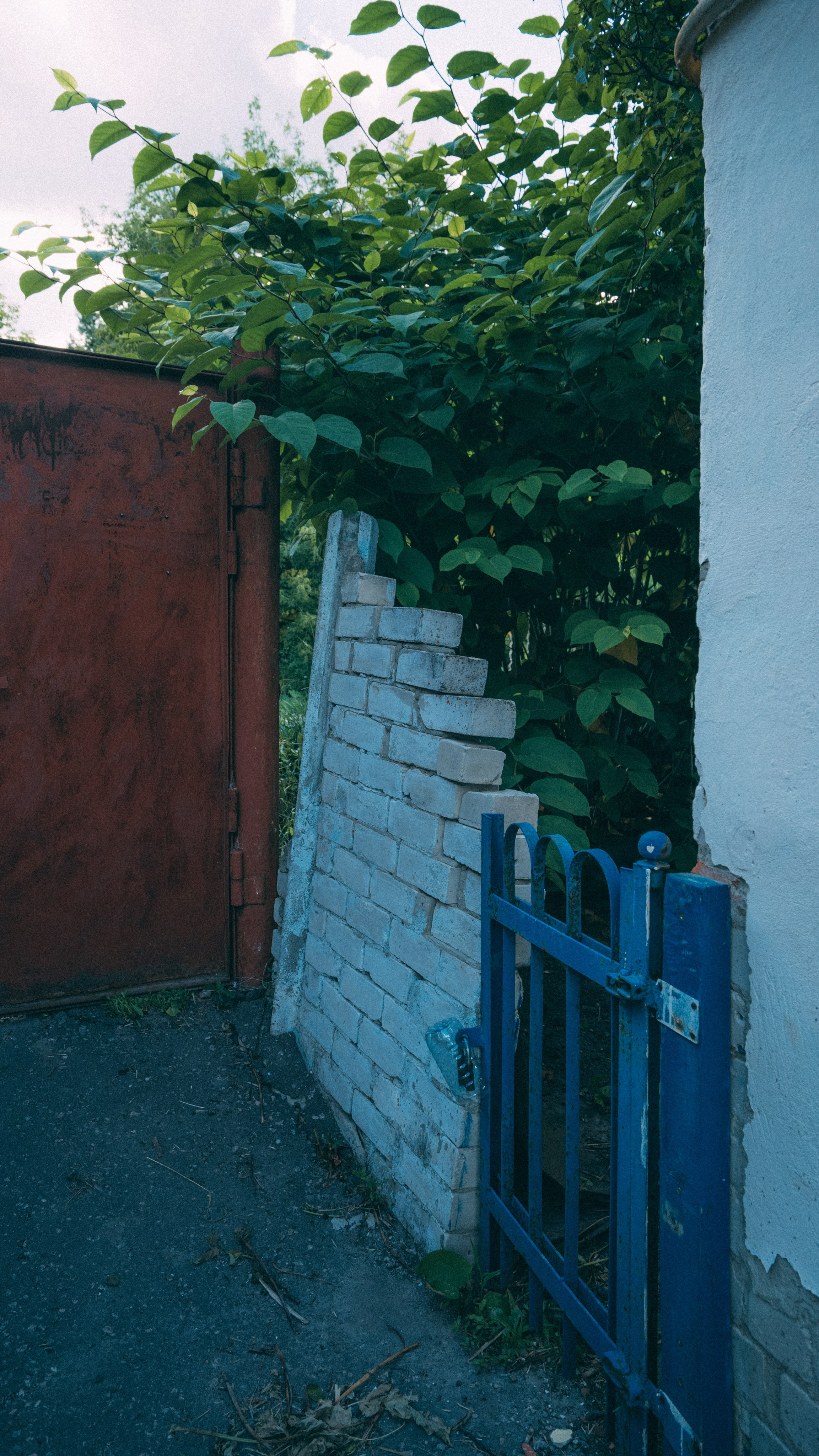 Белгород. Фотограф Алиса Аспер