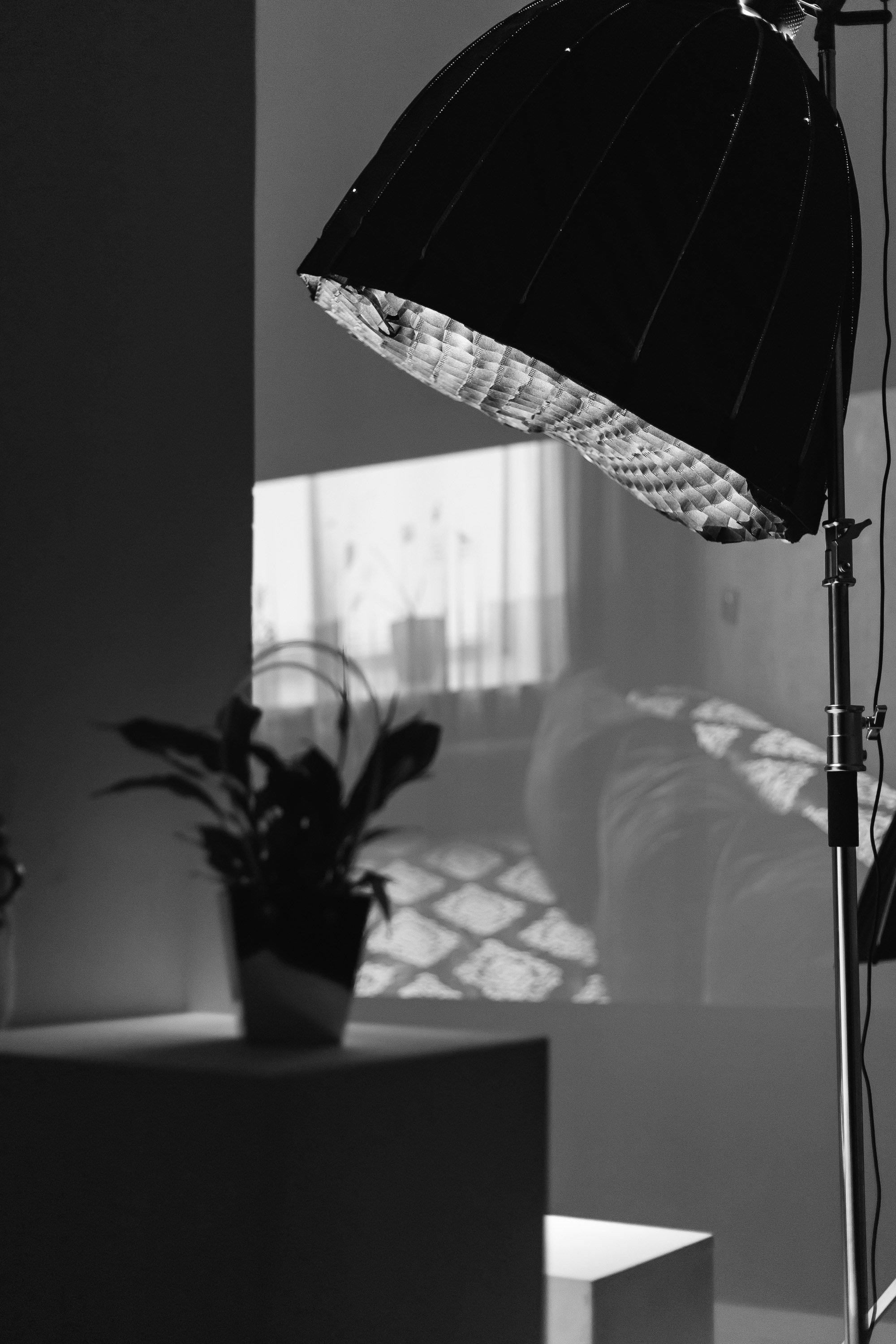 Фотопоказ «Каркас». Ксю Галиасфарова — Фотограф Казань