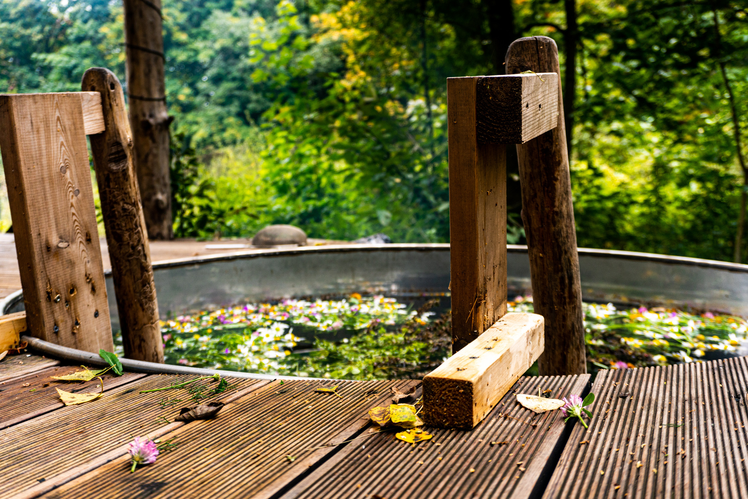 Баня за городом. Фотограф. Москва. Алексей Светомиров. Love Story, портретная съемка