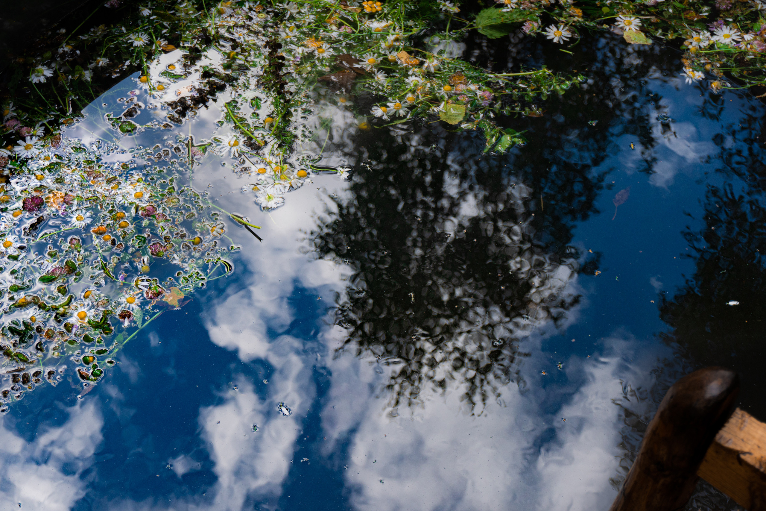 Баня за городом. Фотограф. Москва. Алексей Светомиров. Love Story, портретная съемка