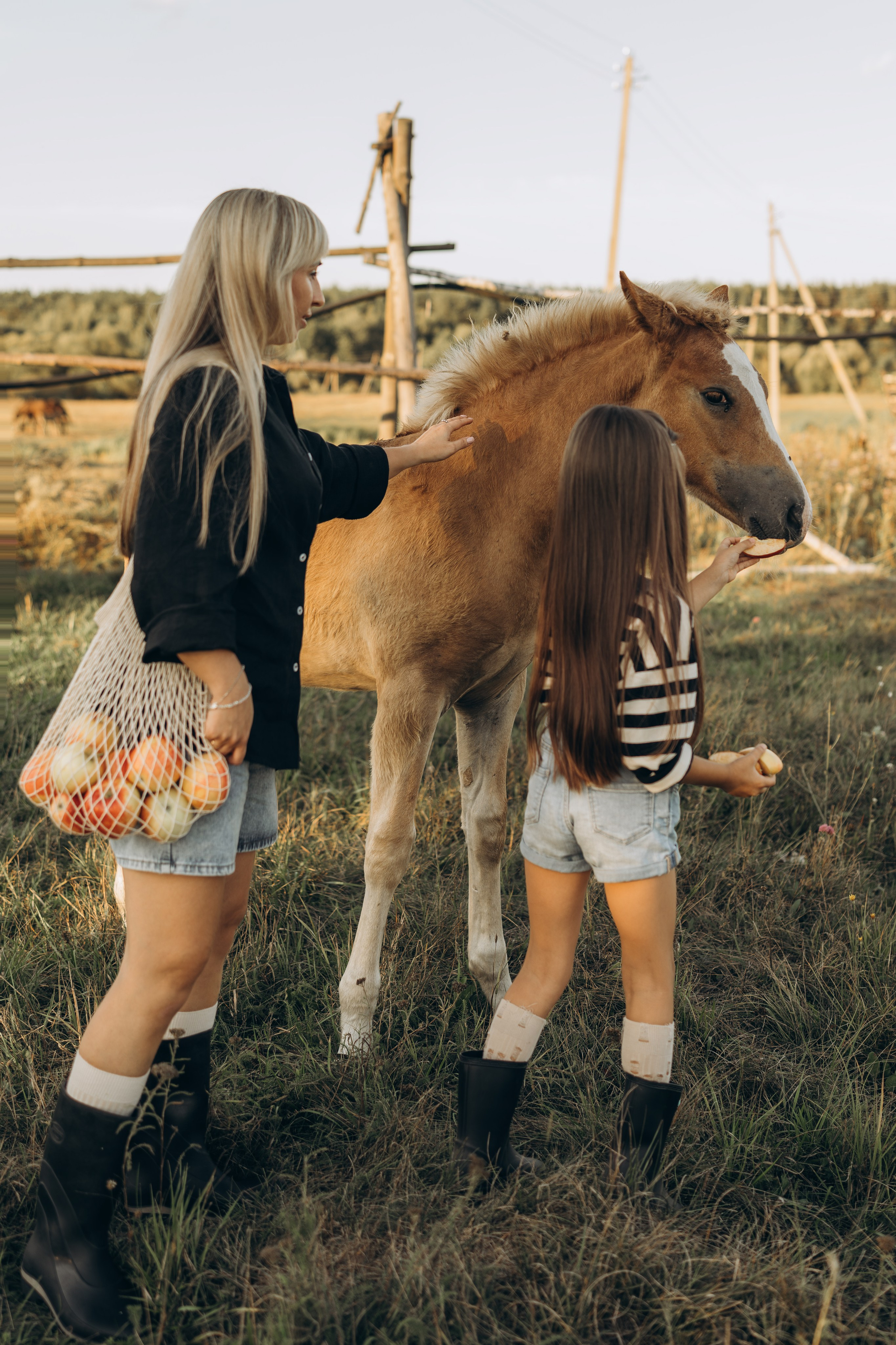 Детство, лошади, природа. Семейный фотограф Москва. Фотограф беременности и материнства Москва