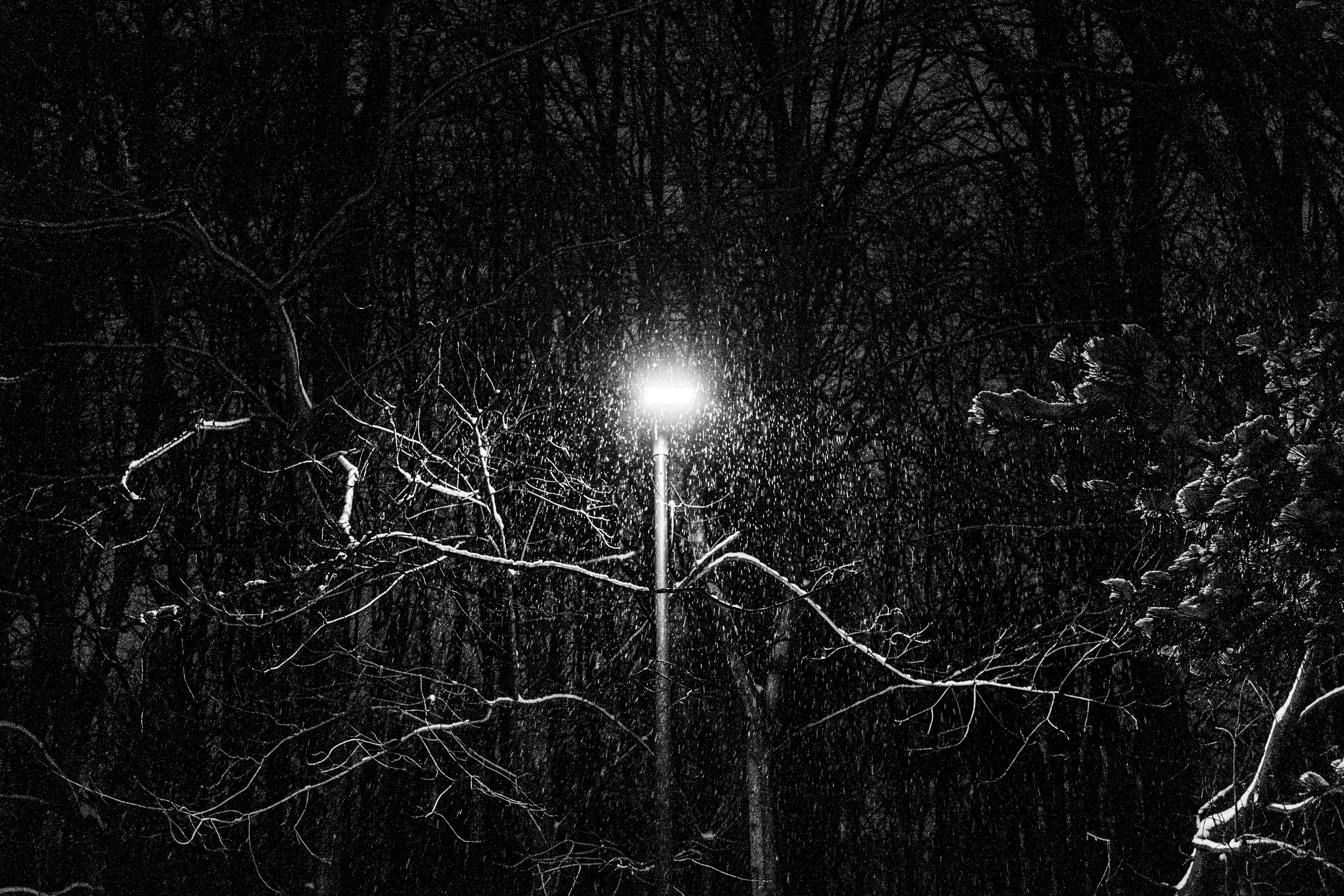 Декабрь. Портретный и архитектурный фотограф в Москве и Санкт-Петербурге