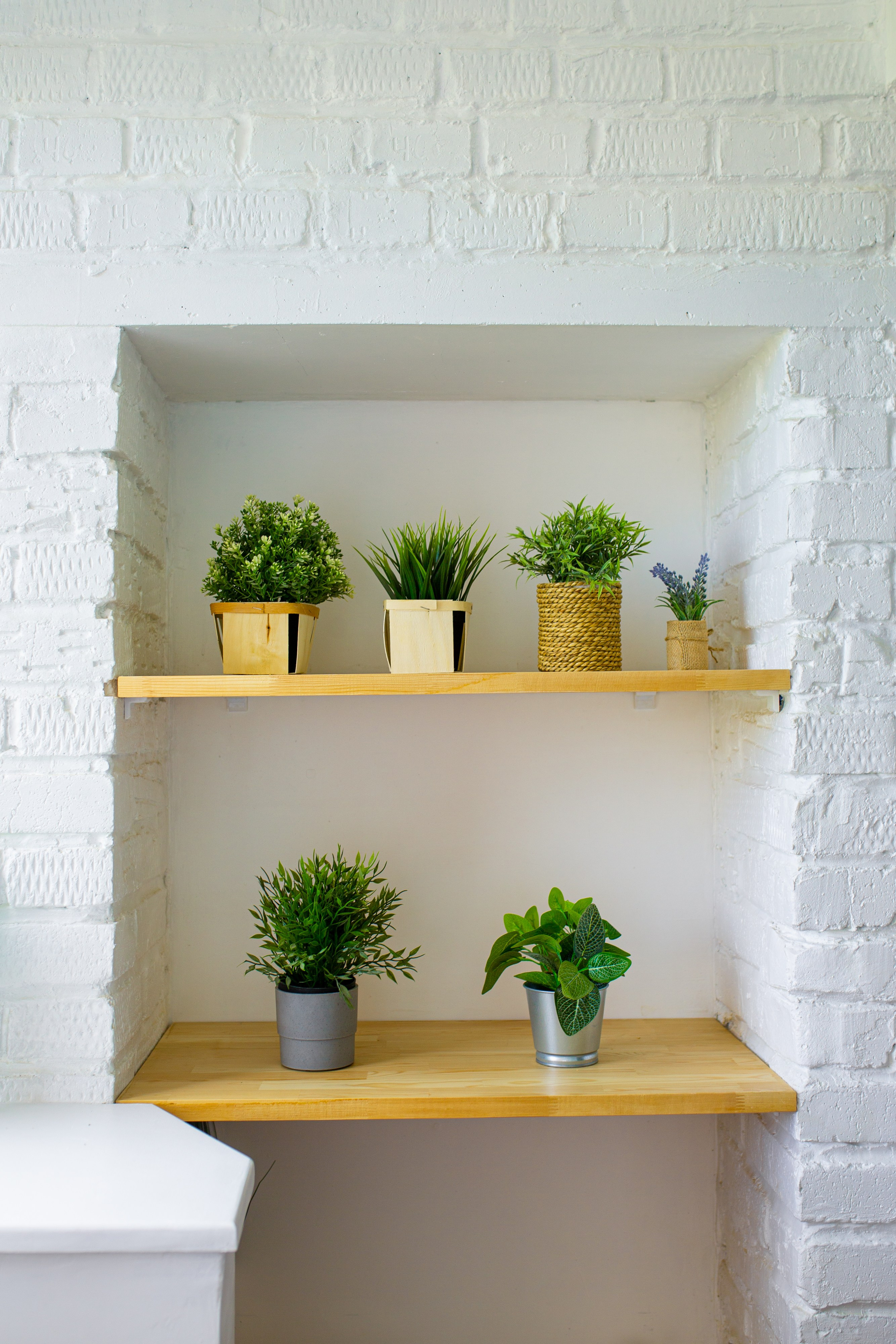 Мидсенчури. Фотограф Оля Батист