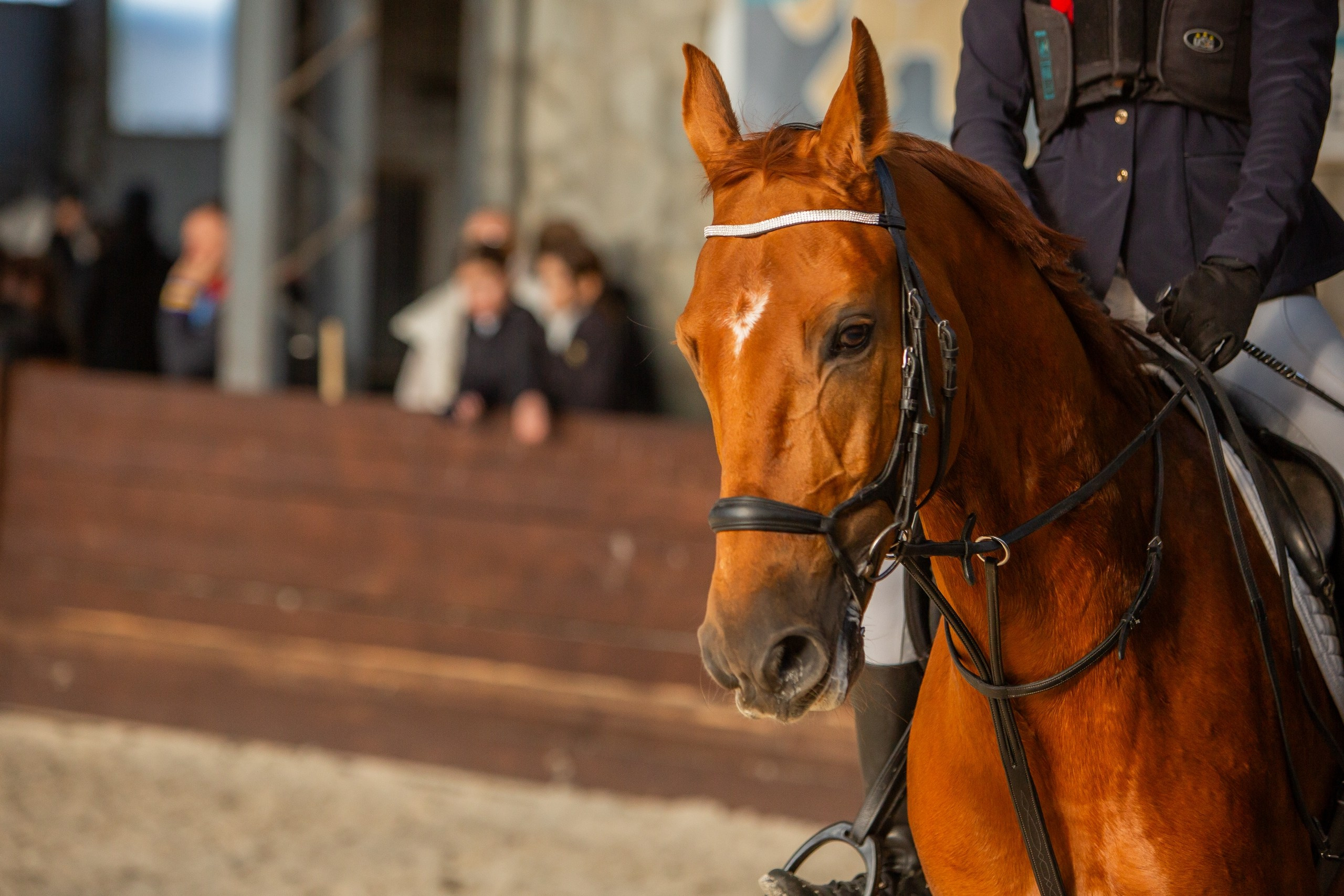 Соревнования. Конный фотограф Юлия Дроздова