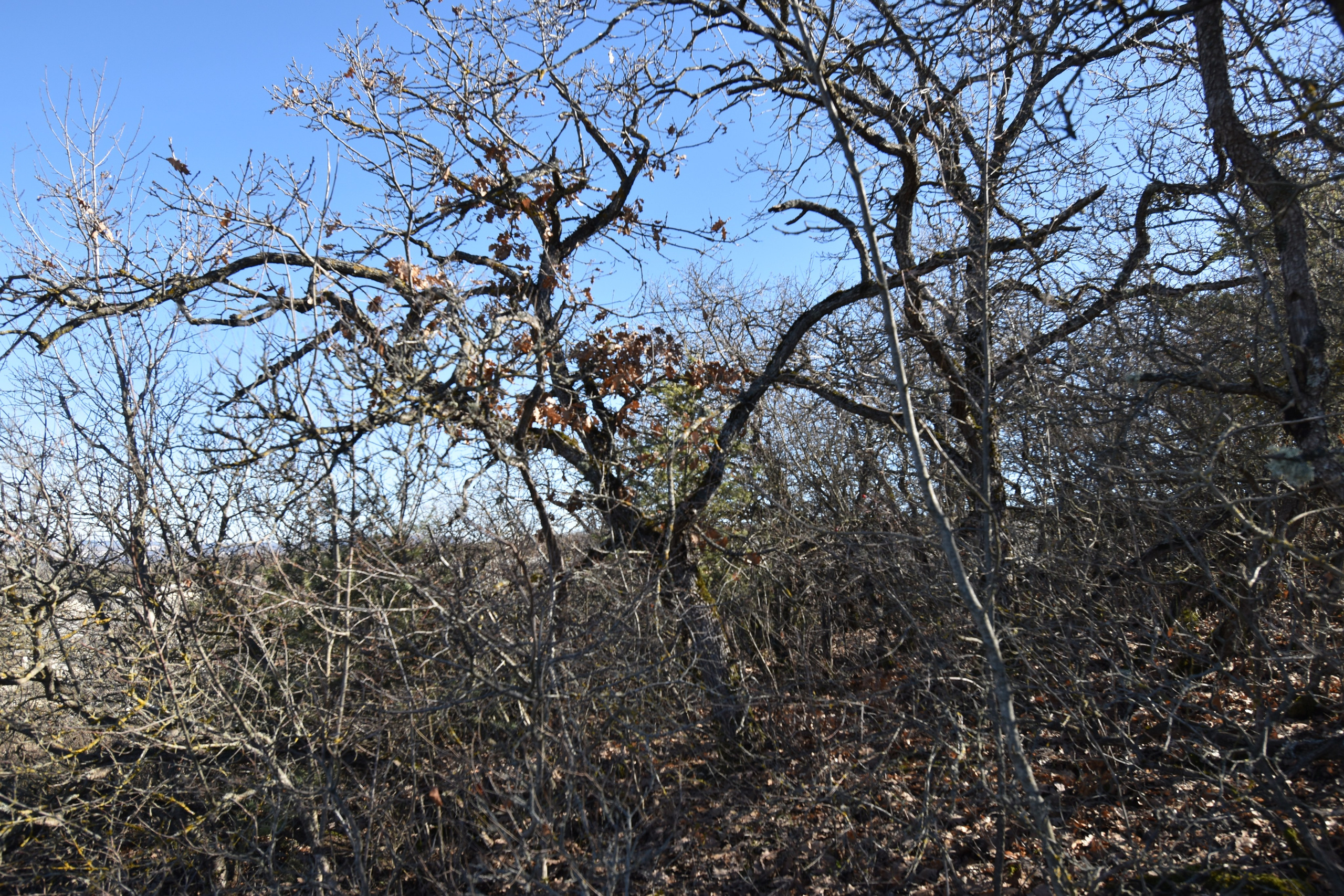 Крым, зарисовки. Созерцатель. фотографирую что тронуло и впечатлило. самарская область