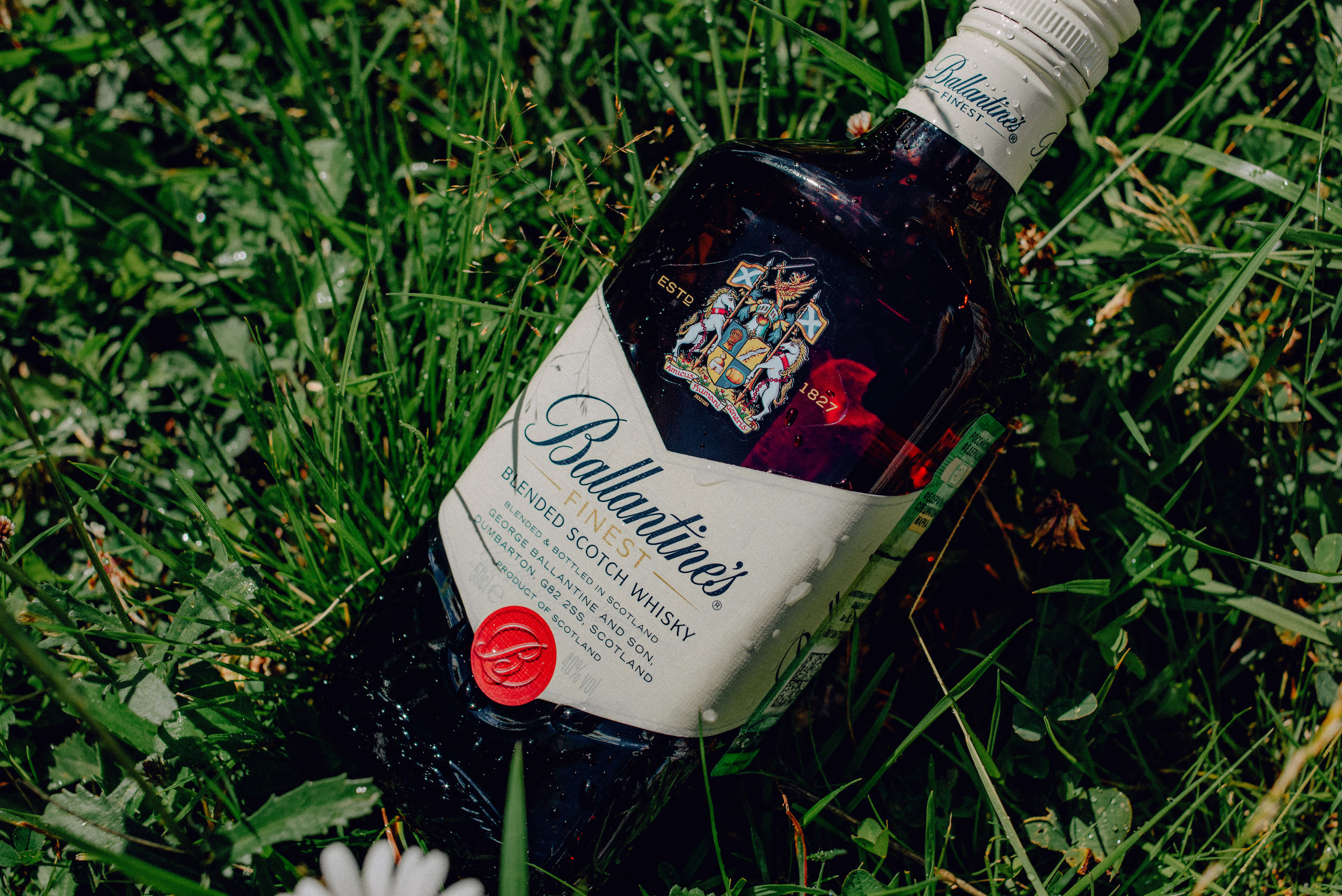 Предметная съемка. Фотограф в Санкт-Петербурге. Диана Шкутова