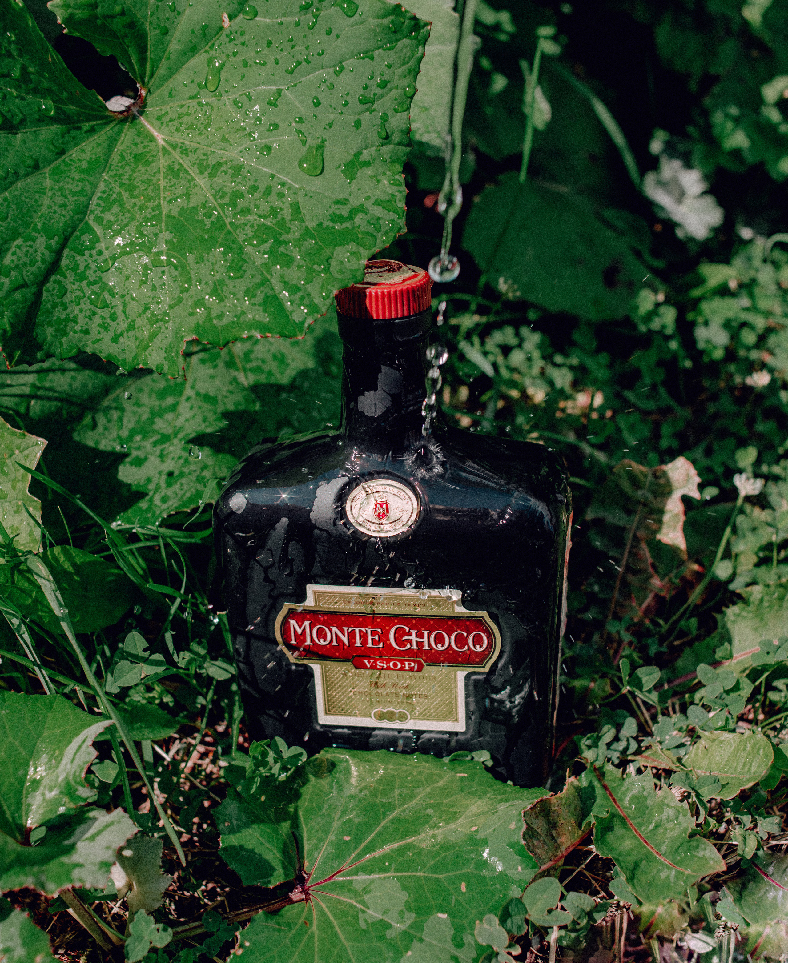 Предметная съемка. Фотограф в Санкт-Петербурге. Диана Шкутова