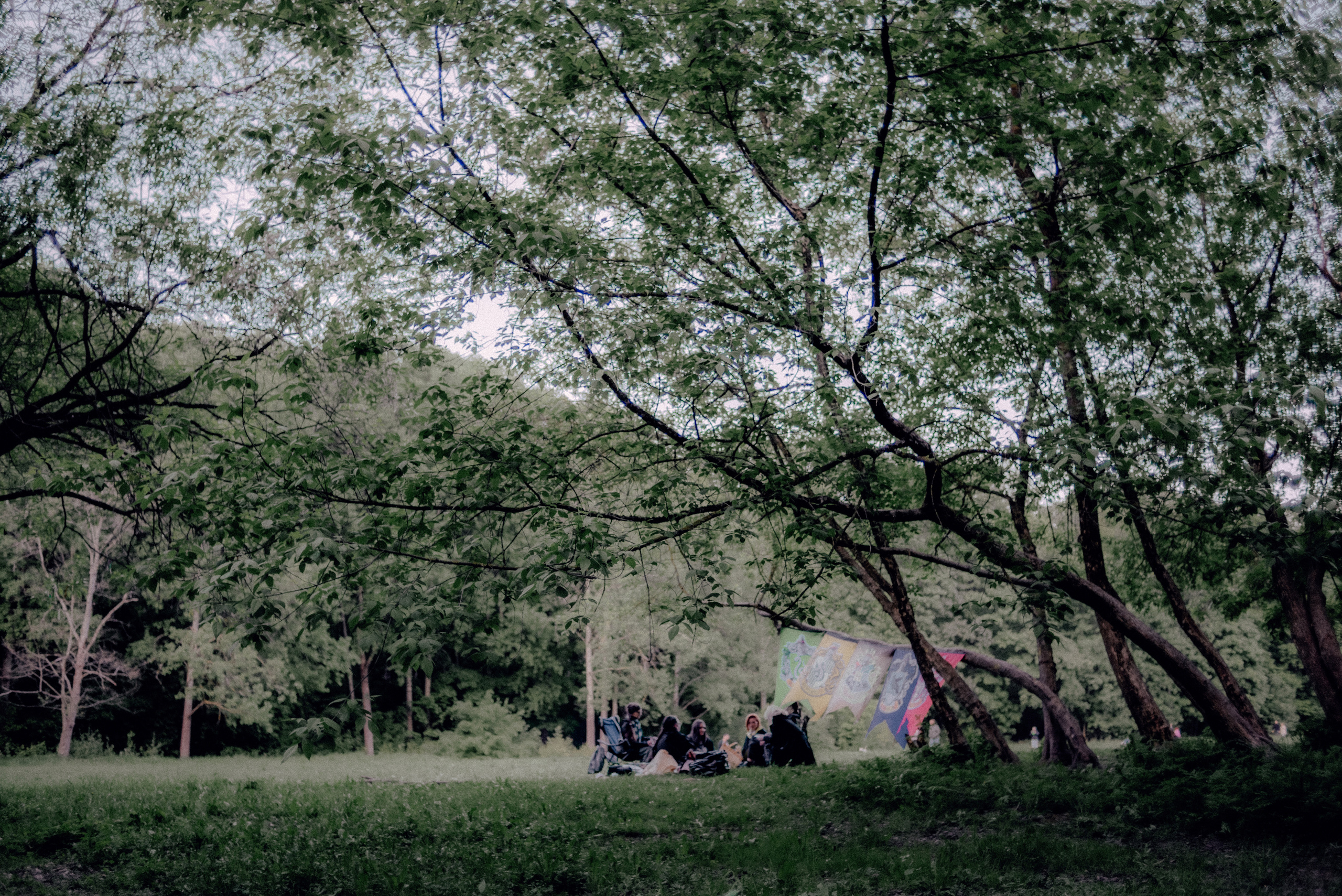 Пейзаж. Фотограф в Санкт-Петербурге. Диана Шкутова