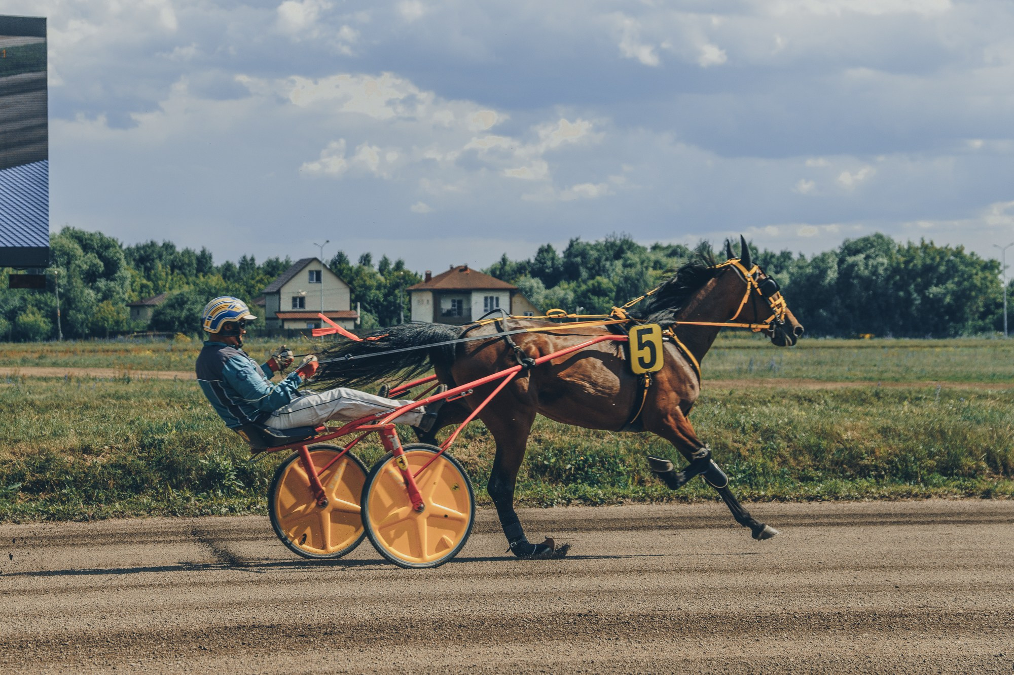 Раменский ипподром. Фотограф Яна Журавская Спб / Москва