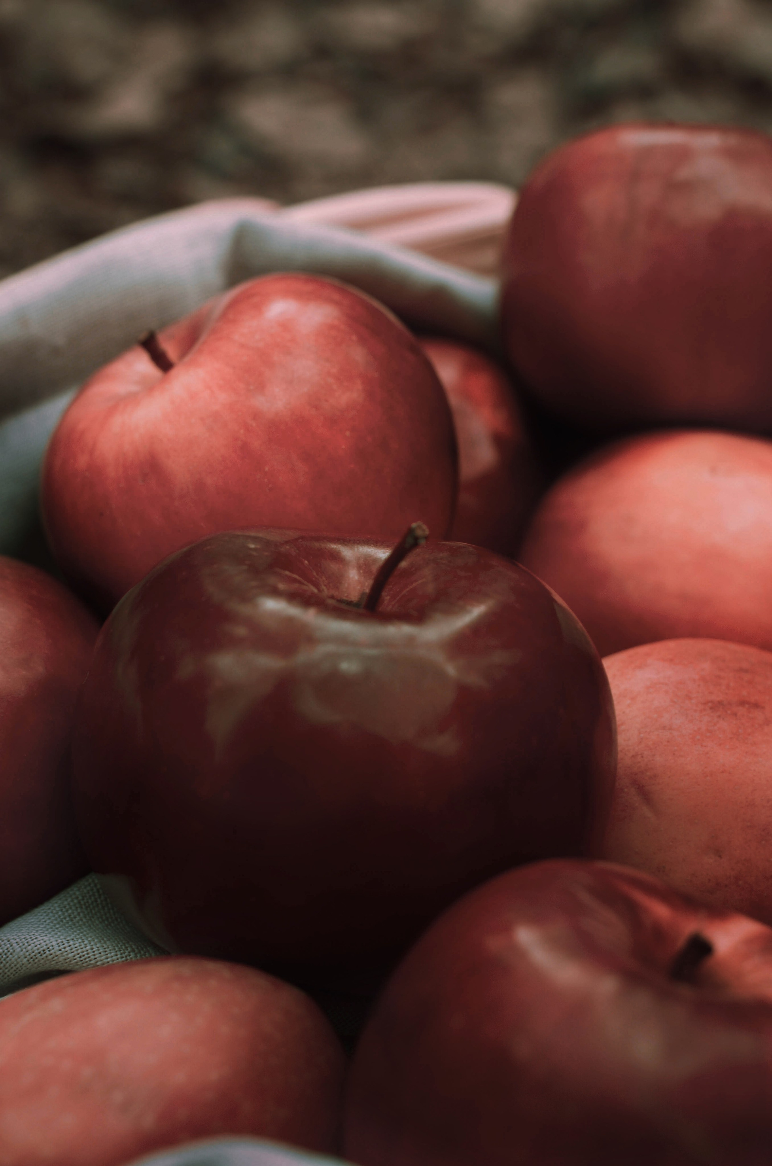 Фотопроект «Яблоки Белоснежки». Фотосессии по мотивам сказок и фильмов — Катерина Исауленко. СПб