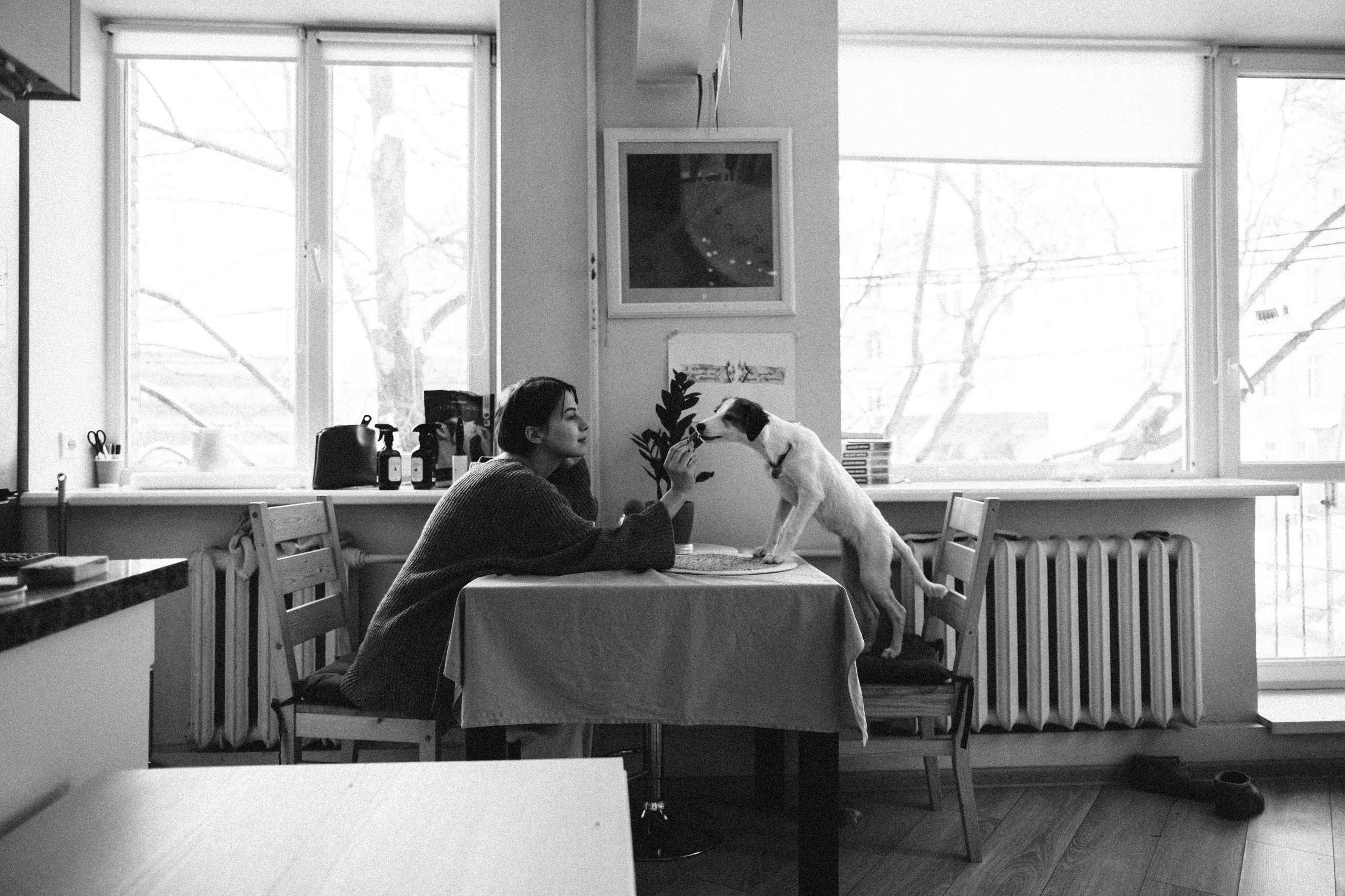 Лика и Клео. Свадебный фотограф Оля Григунова