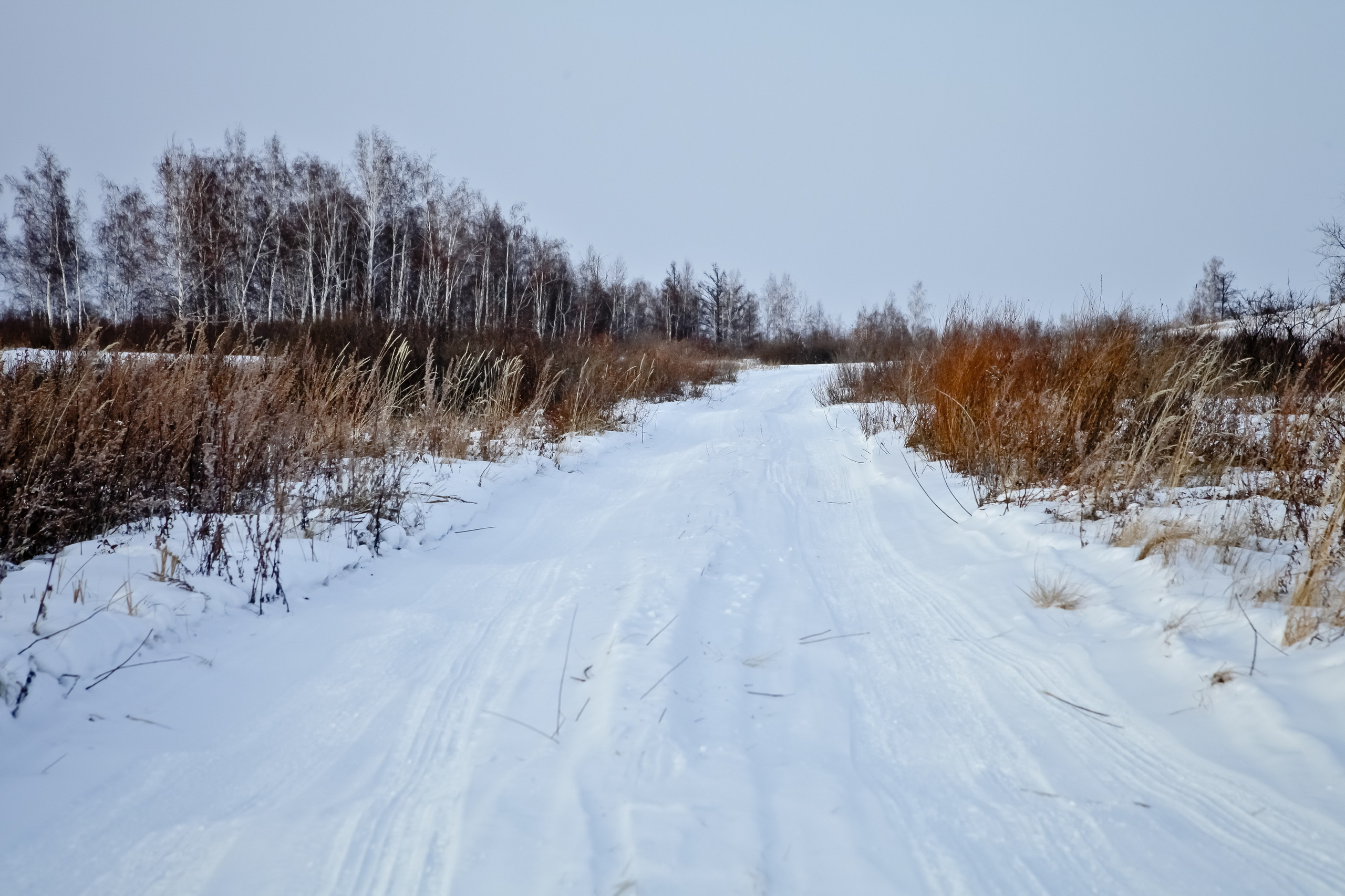 Фото Природы Забайкалья. Студия Максима Белослюдцева