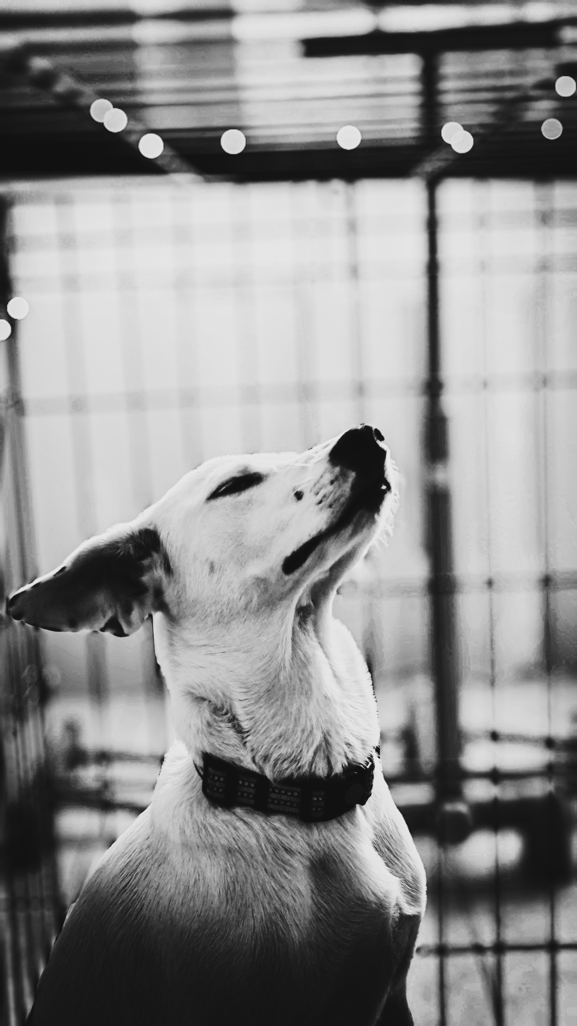 Ожидание. Игорь Урывский. Фотограф Красноярск