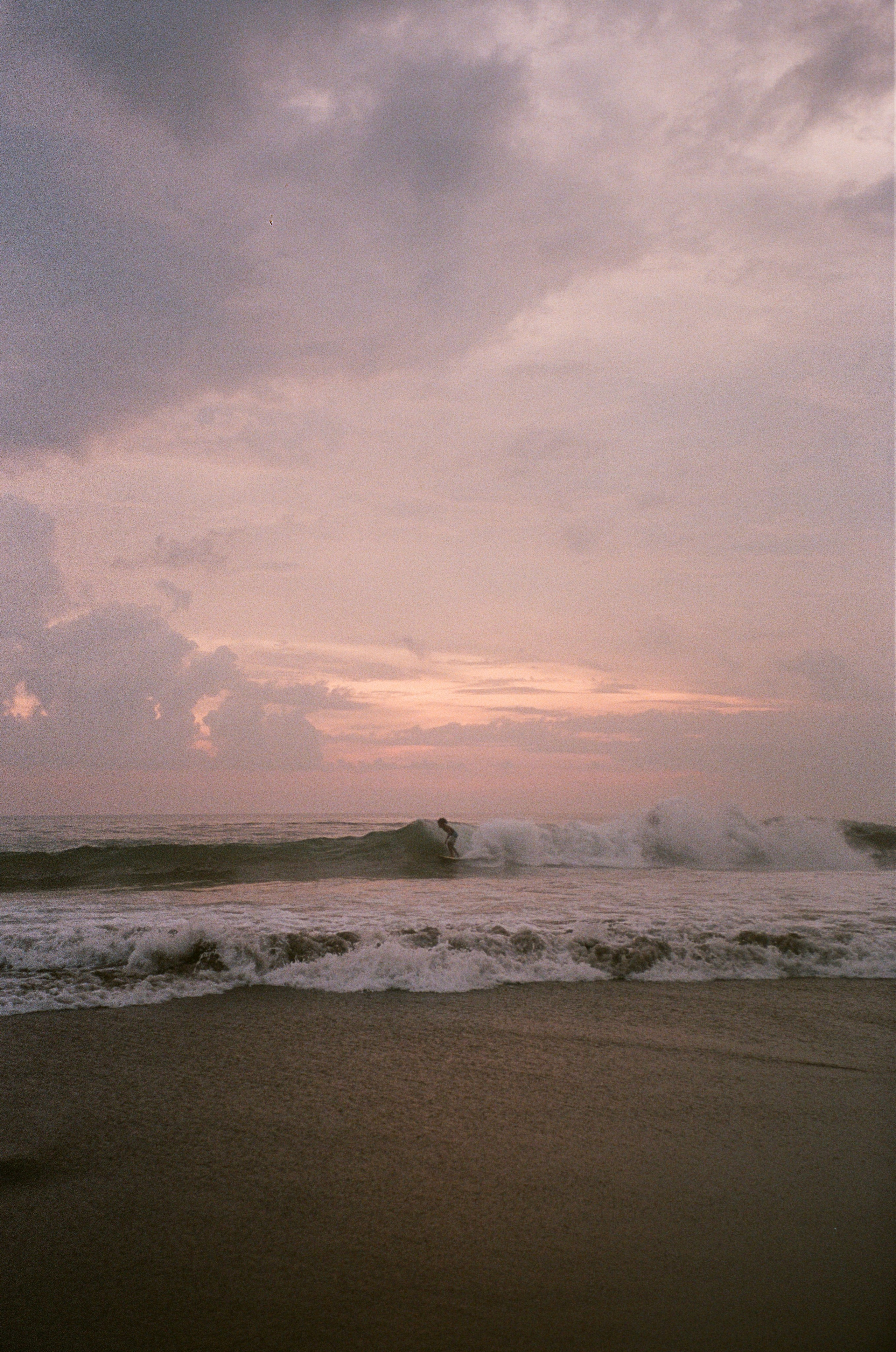 SOMEWHERE. Carolinetru