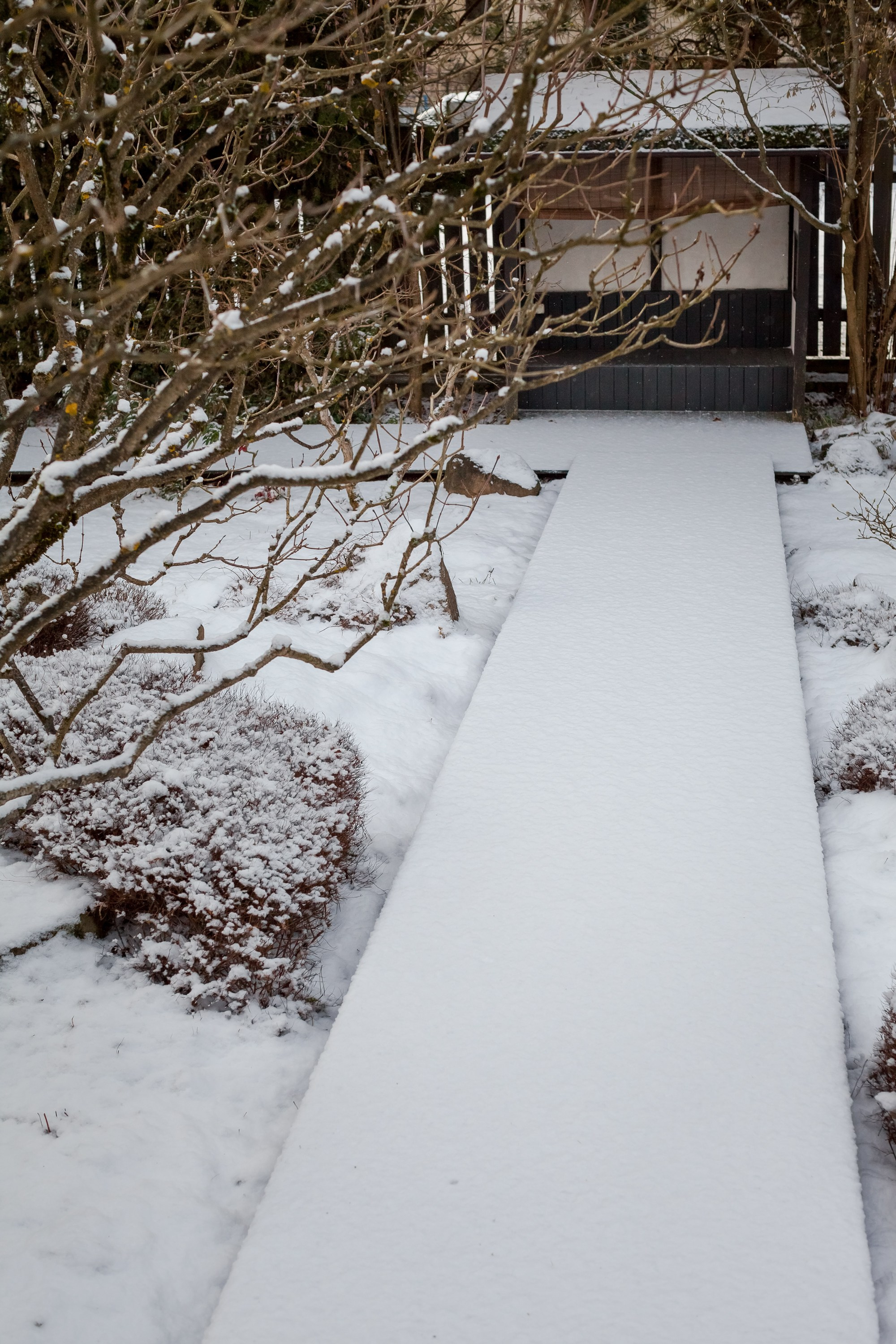 Спящий сад, Елены Асташкиной. Туманов Виталий — фотограф Москва