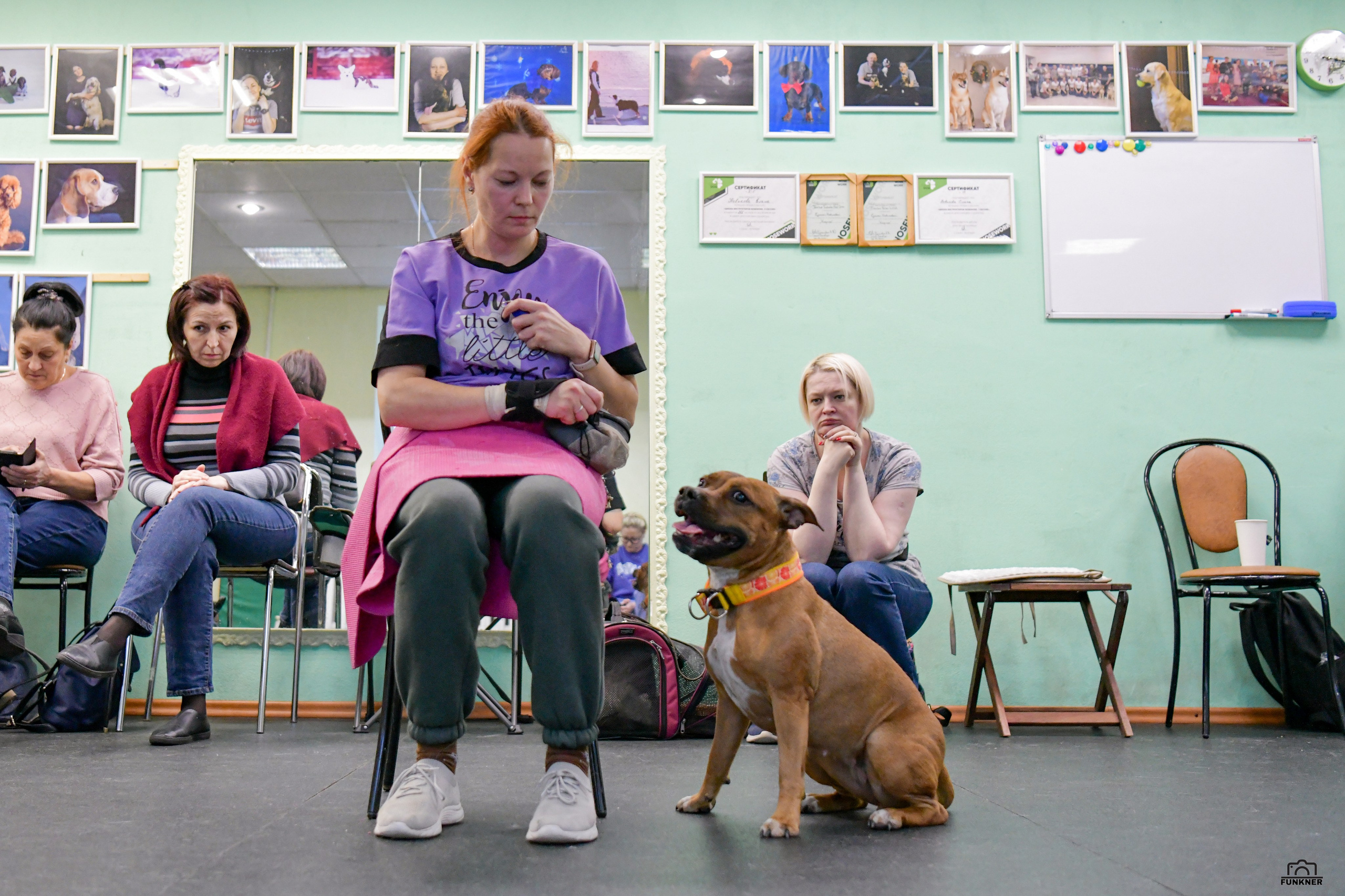 Кинологический клуб «Бодрый хвост». Свой взгляд через объектив