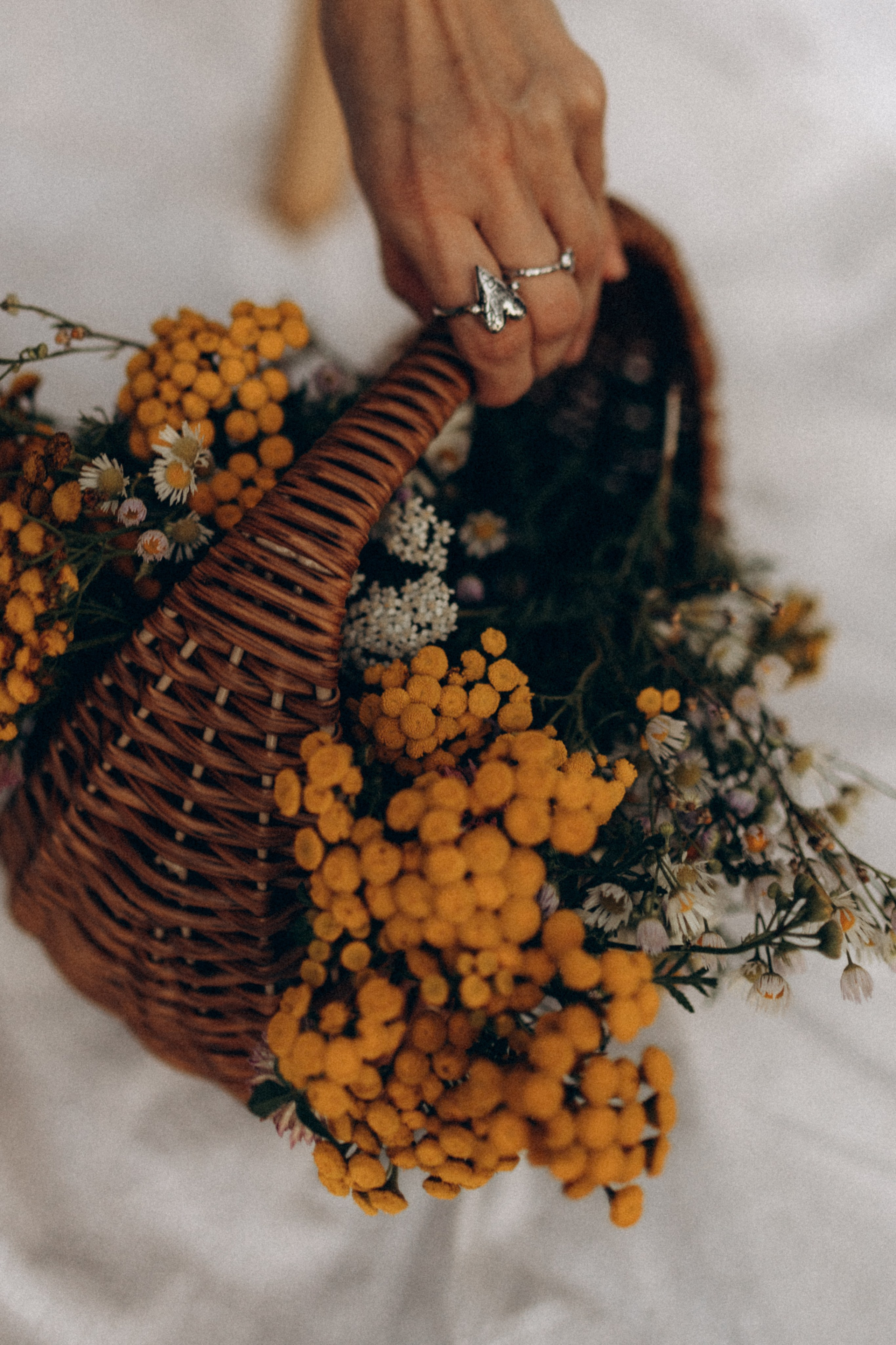 Полина. Фотограф НОГИНСК, Москва, Анастасия Белая