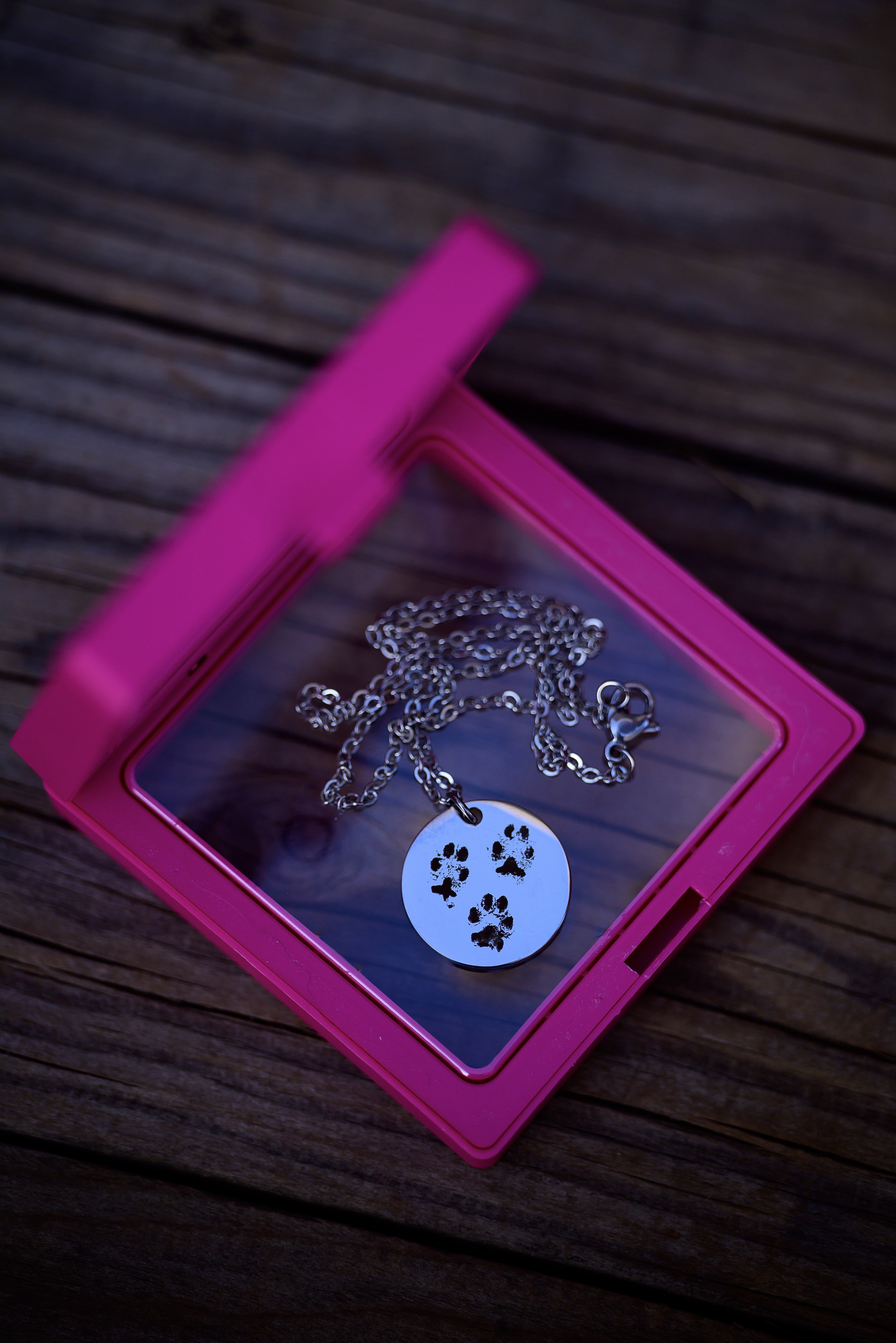 Geronimo.dogs. Мила Астахова